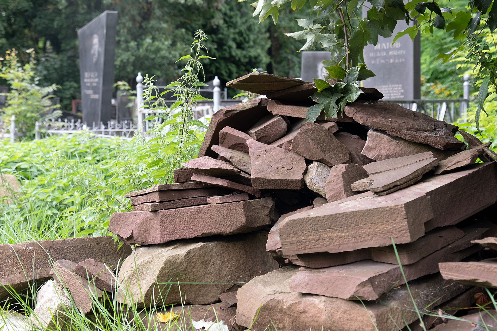 Lviv - Tombstone fragments at the Jewish cemetery