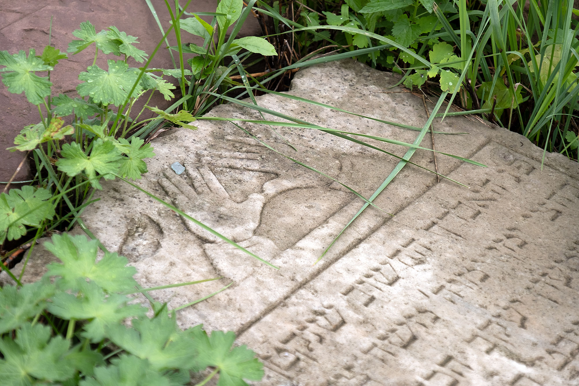 Lviv - Tombstone fragment at the Jewish cemetery