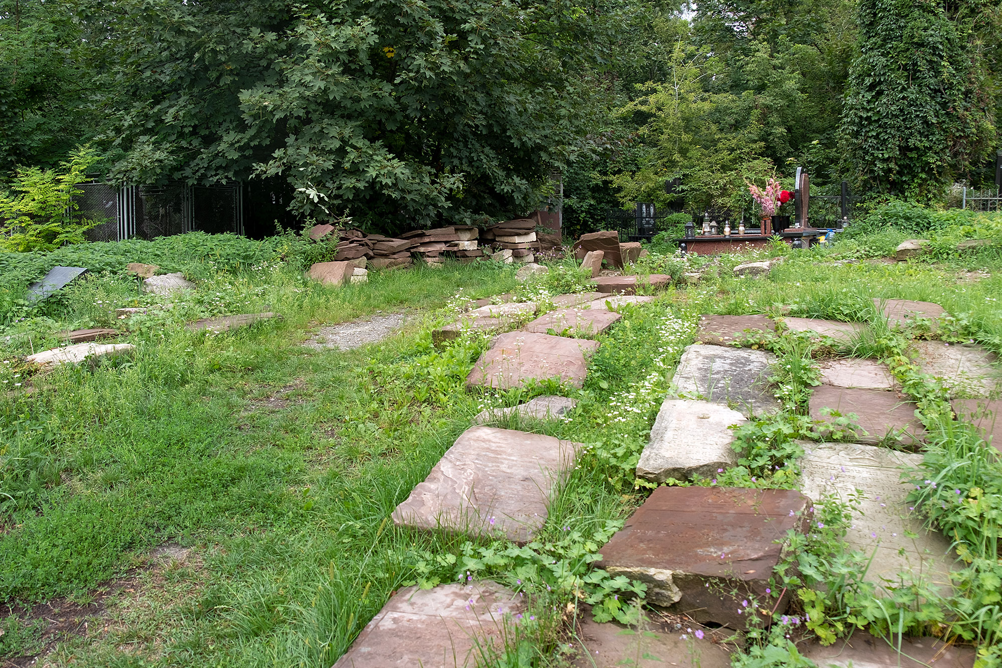 Lviv - Tombstone fragments at the Jewish cemetery