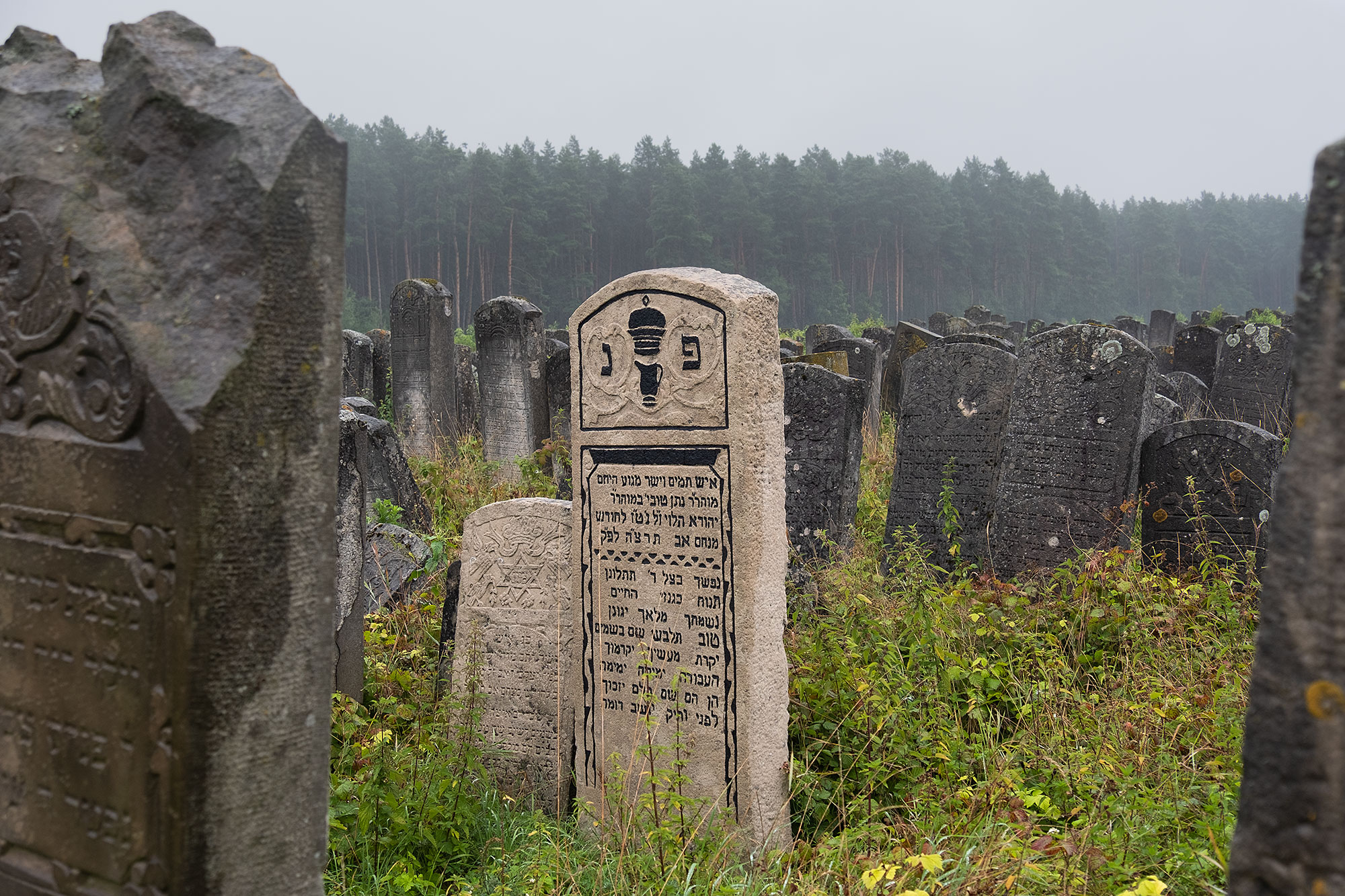 Brody - New Jewish cemetery