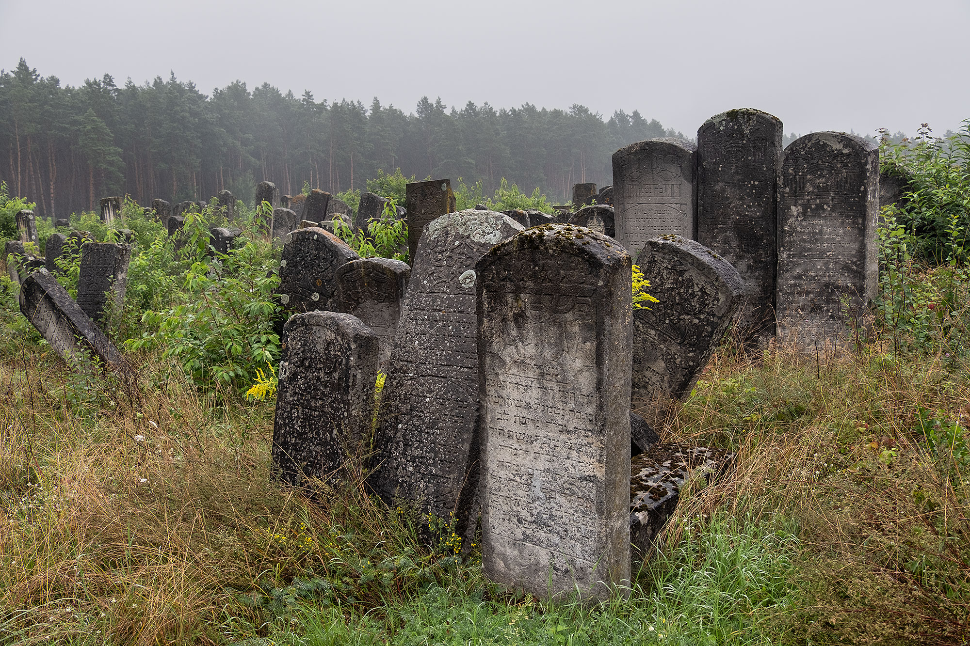 Brody - New Jewish cemetery