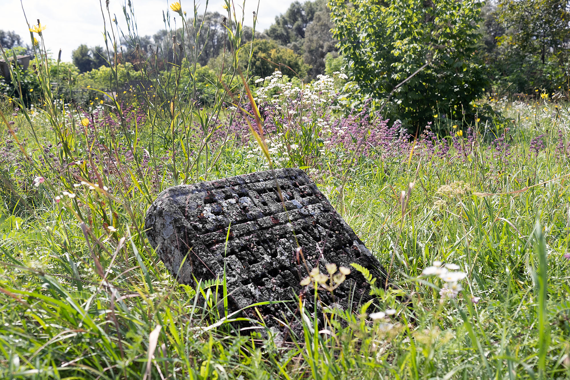 Shatava - Jewish cemetery