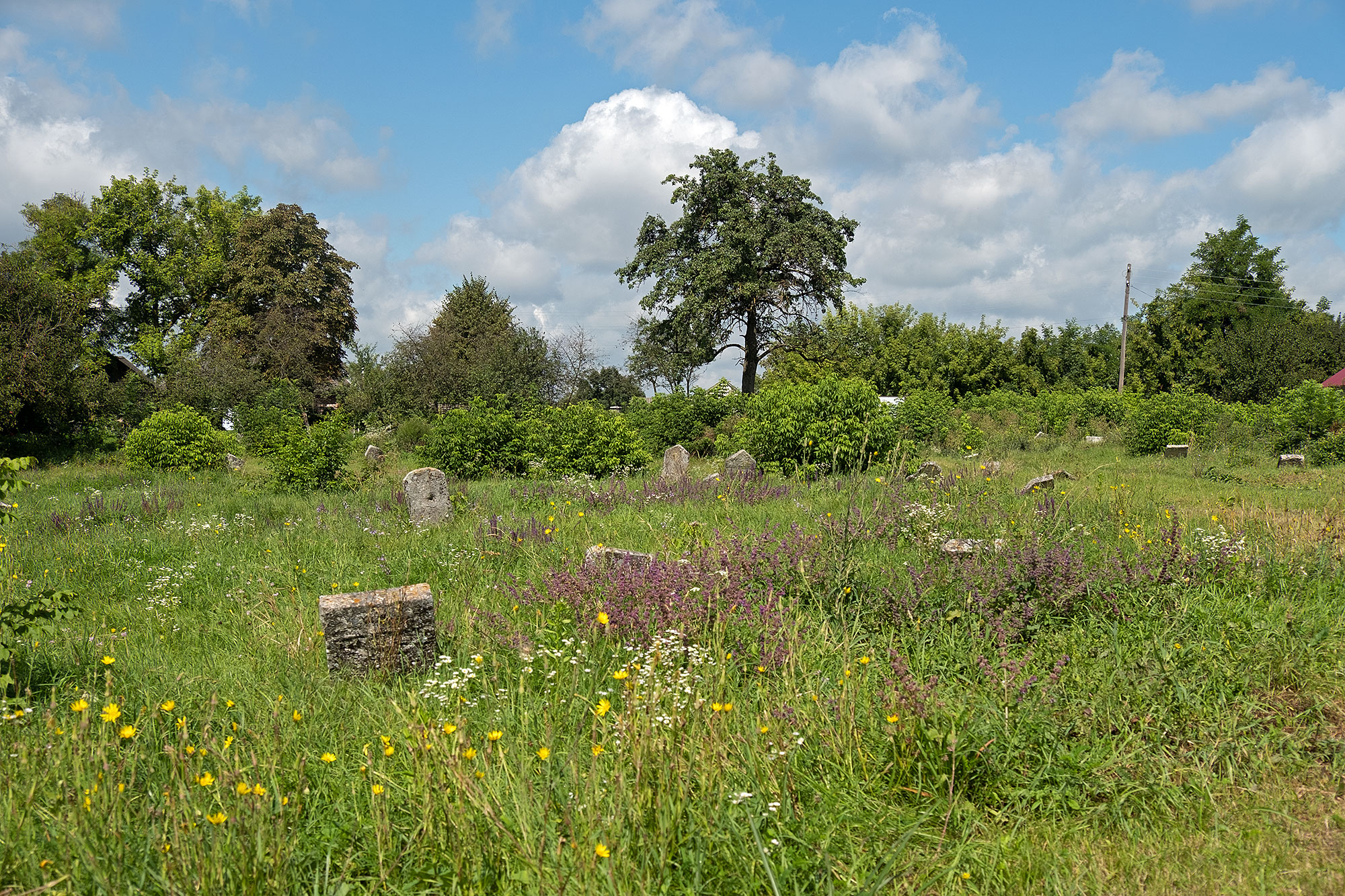 Shatava - Jewish cemetery