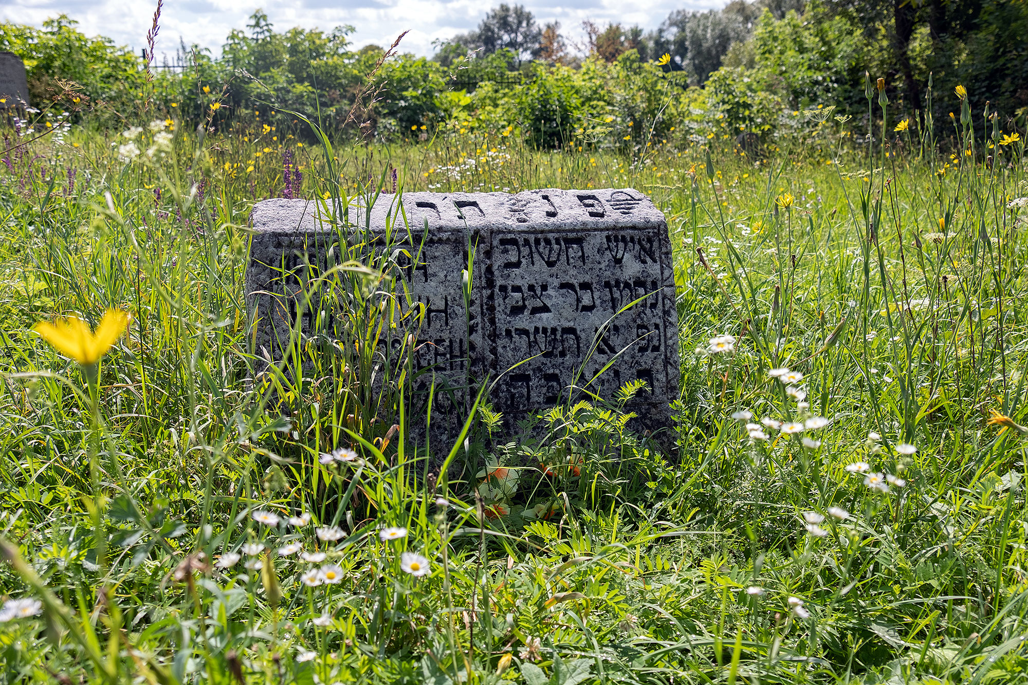 Shatava - Jewish cemetery