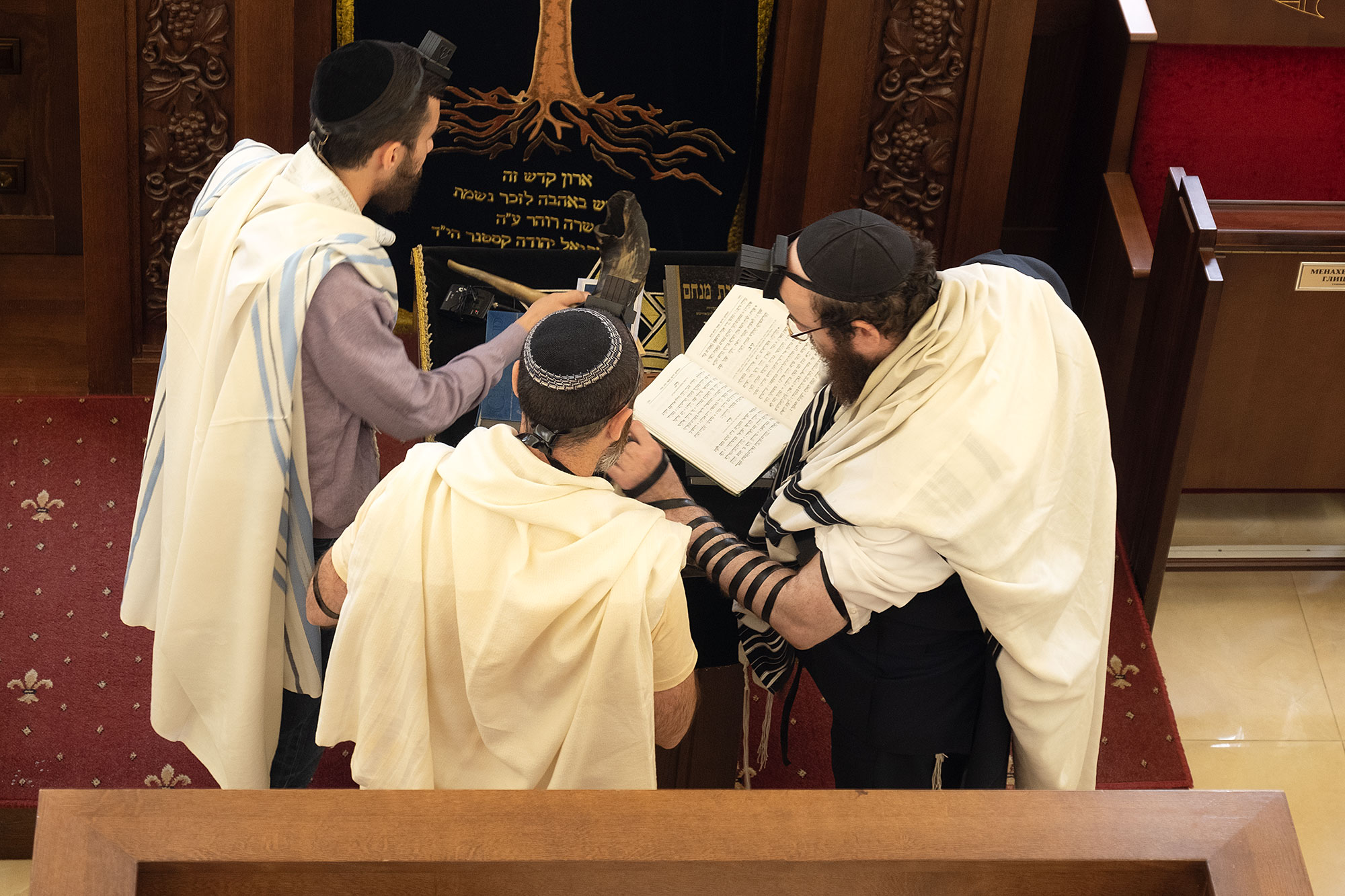 Chernivtsi - Synagogue