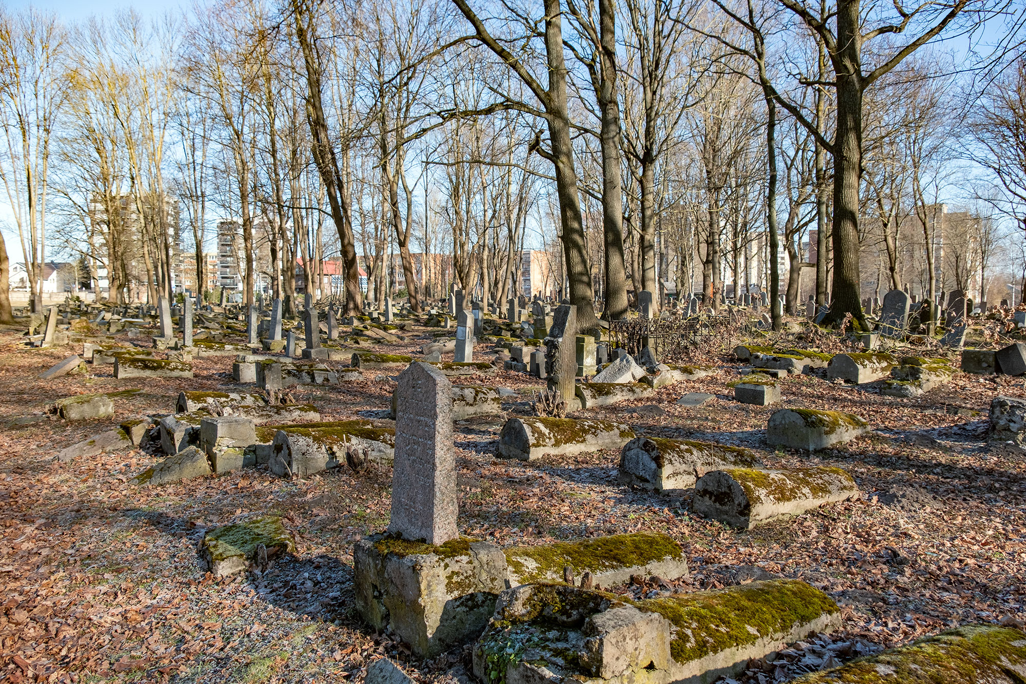 Kaunas, Žaliakalnis Jewish cemetery