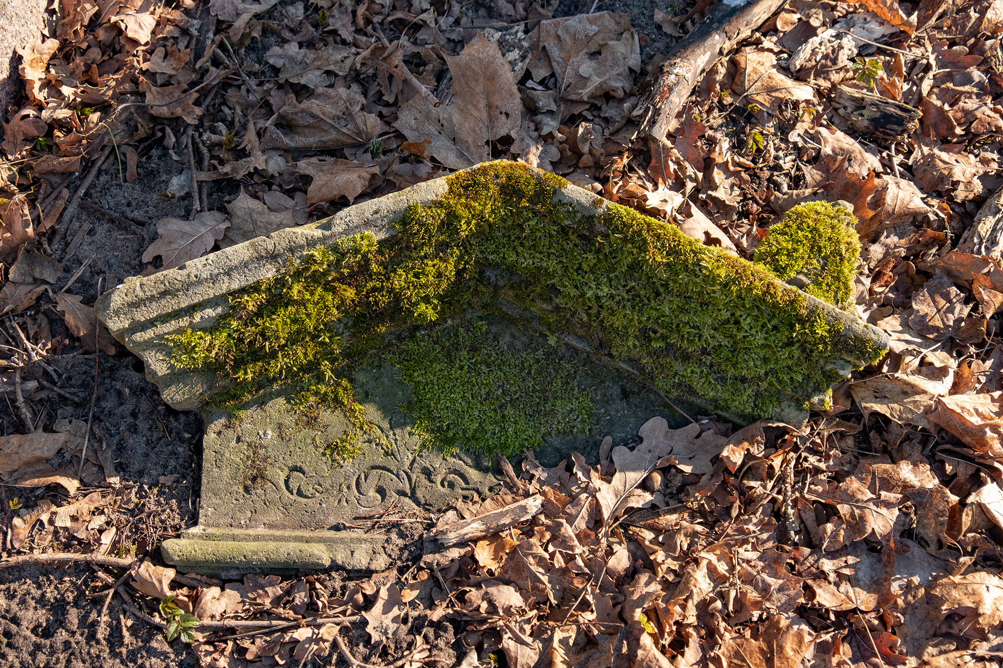 Kaunas, Žaliakalnis Jewish cemetery
