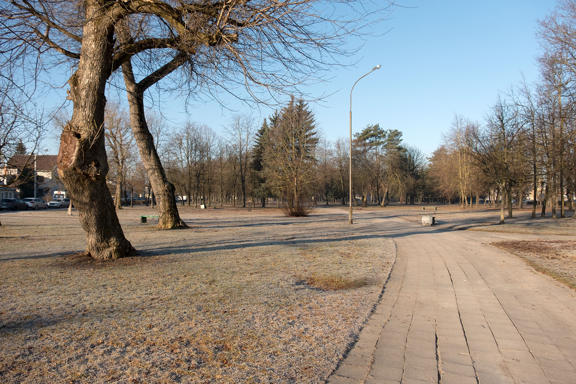 Panevėžys, Jewish cemetery
