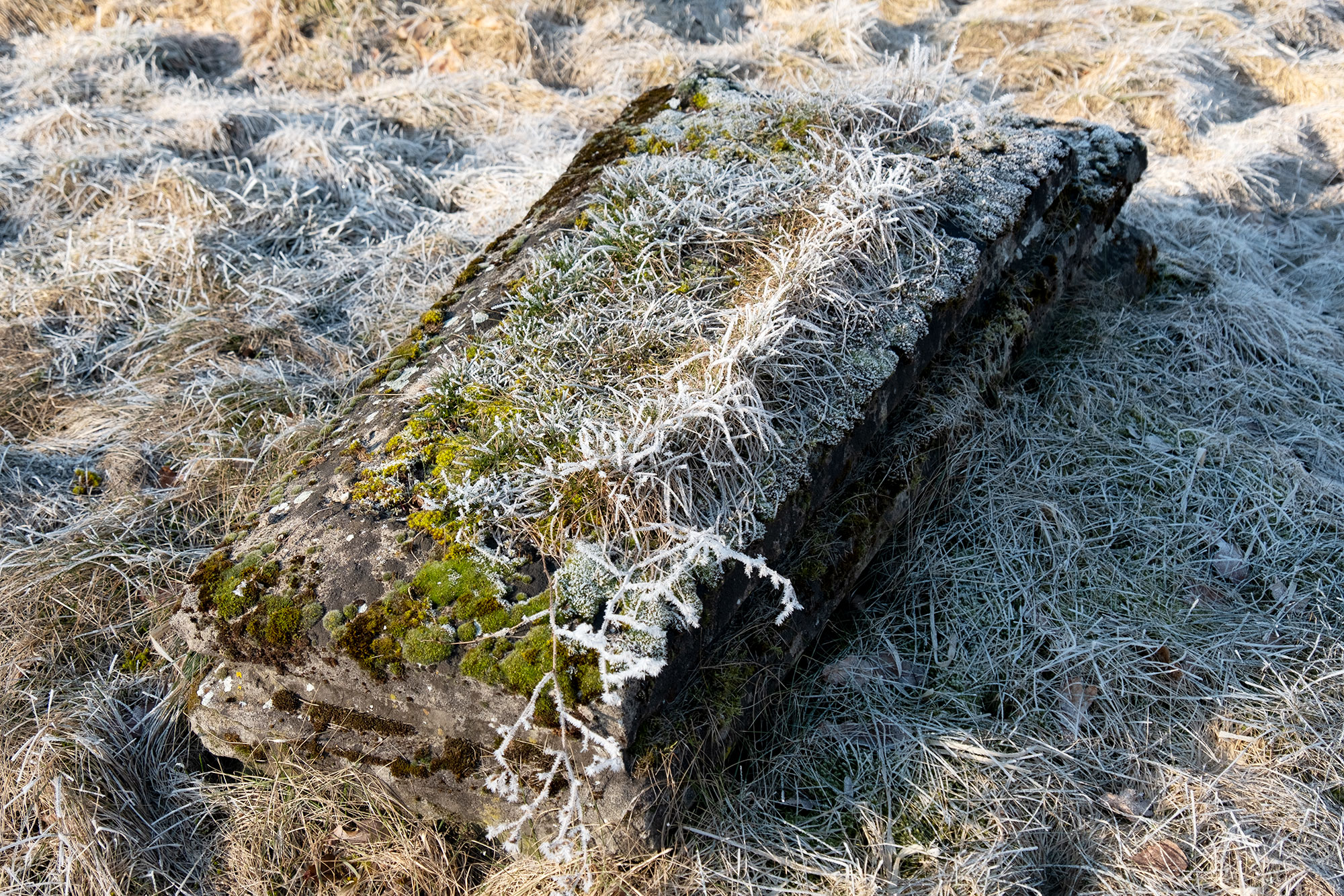 Krekenava, Jewish cemetery