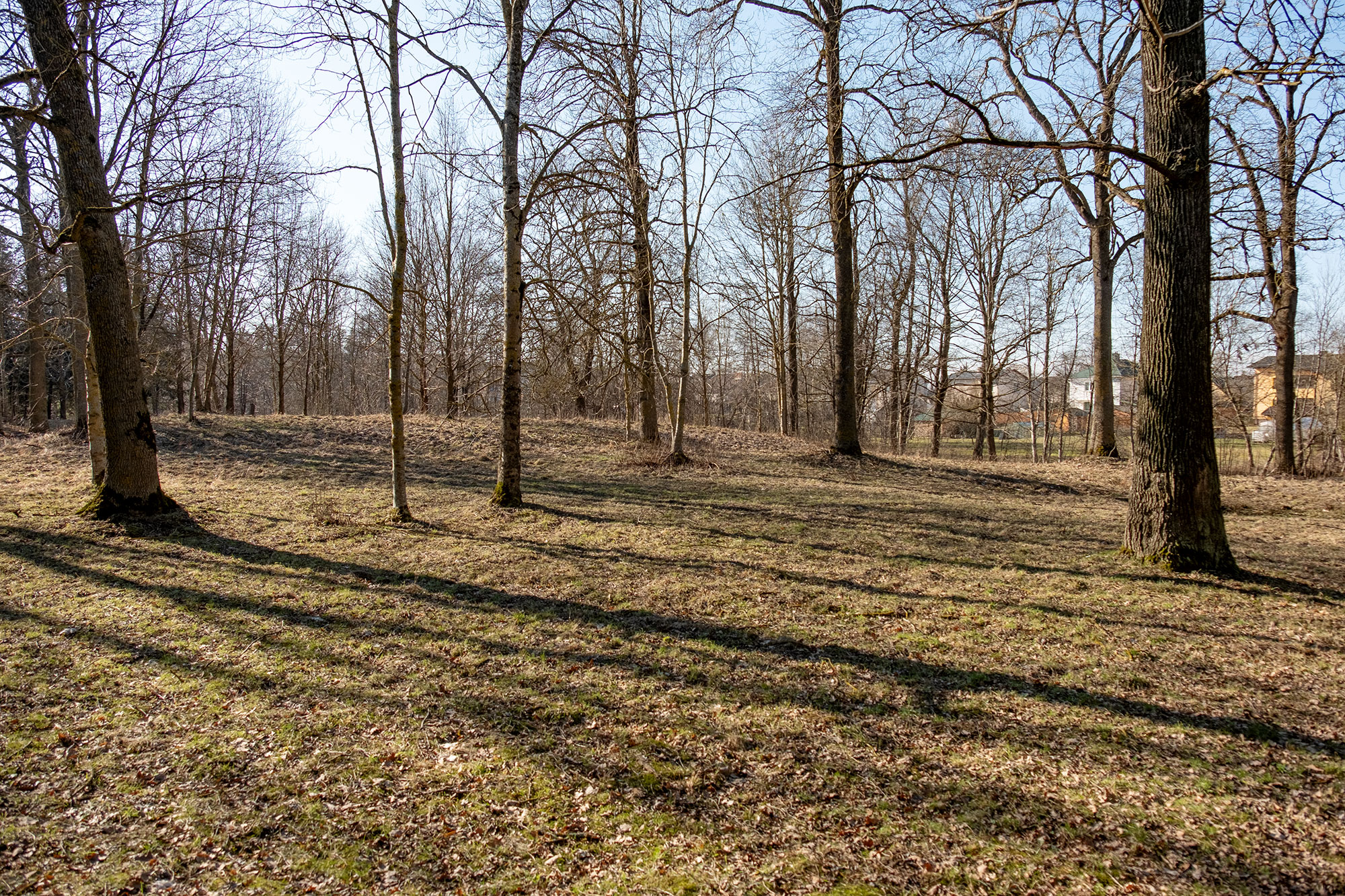 Pasvalys, Jewish cemetery
