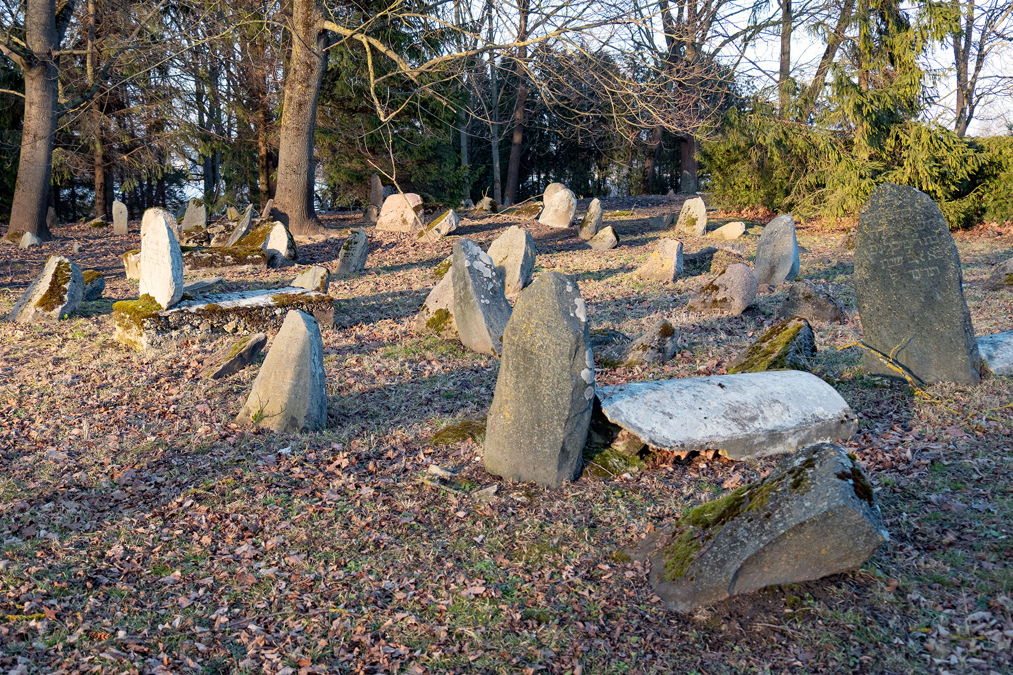 Biržai, Jewish home for the elderly