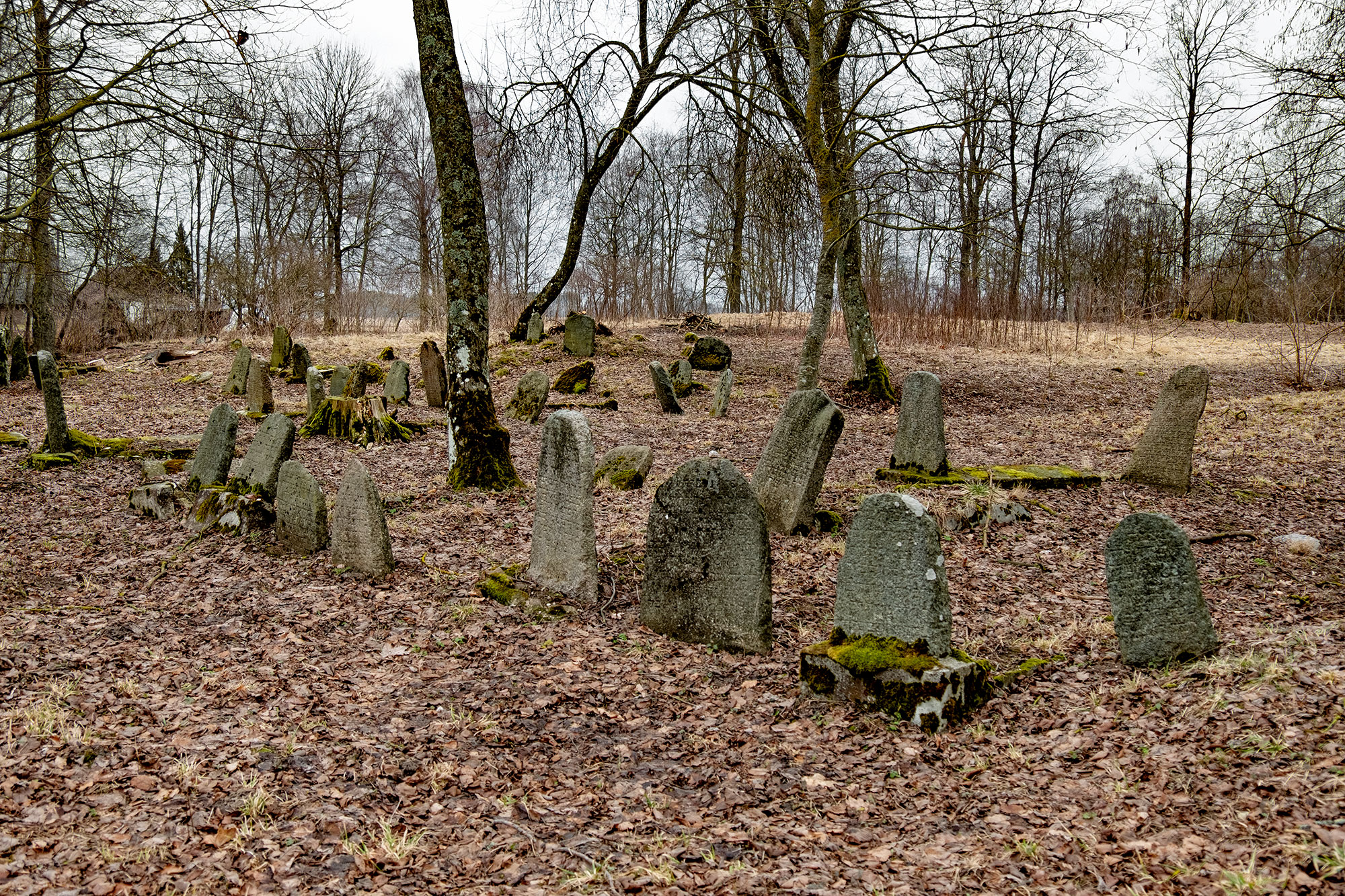 Vabalninkas, Jewish cemetery
