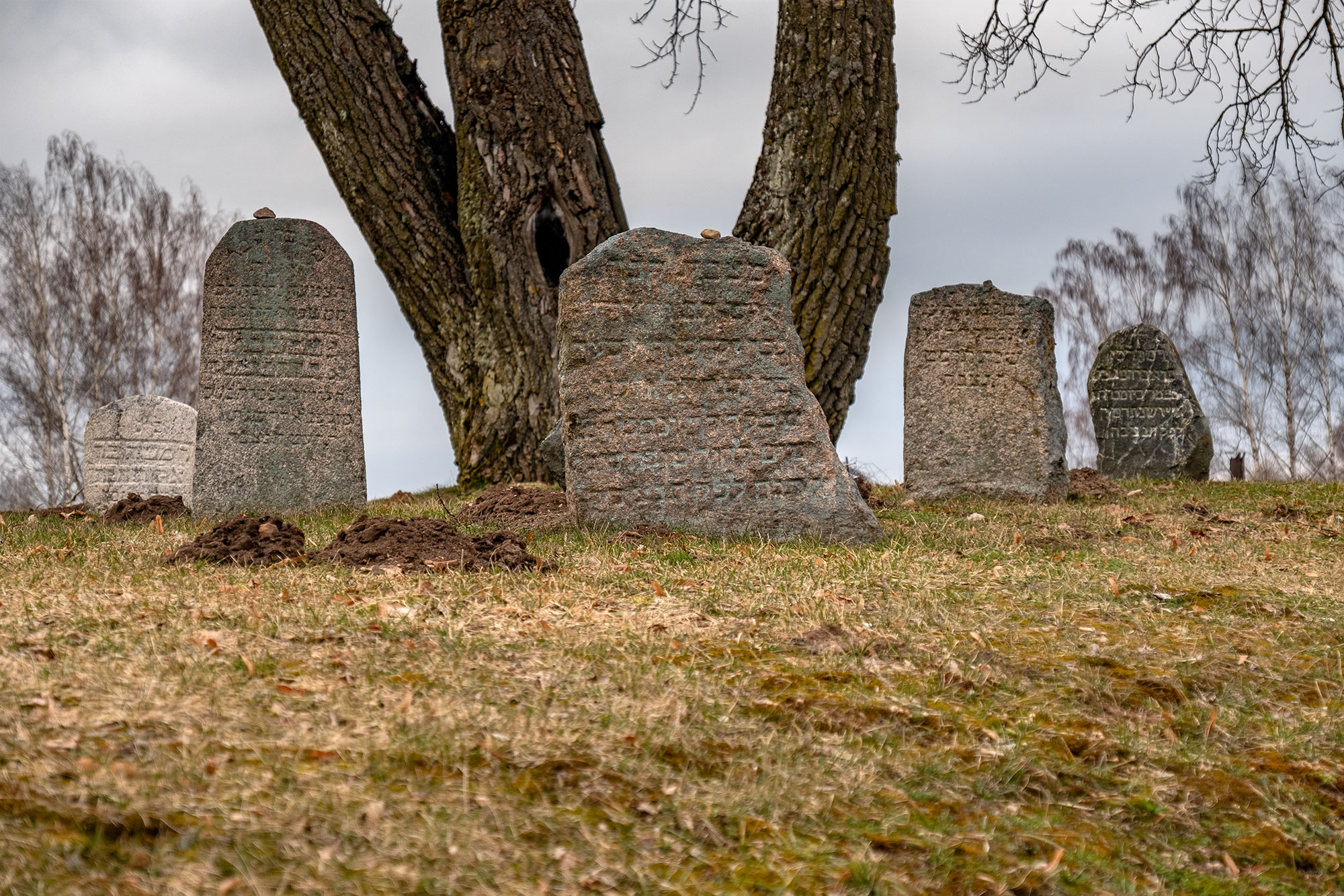 Kupiškis, Jewish cemetery