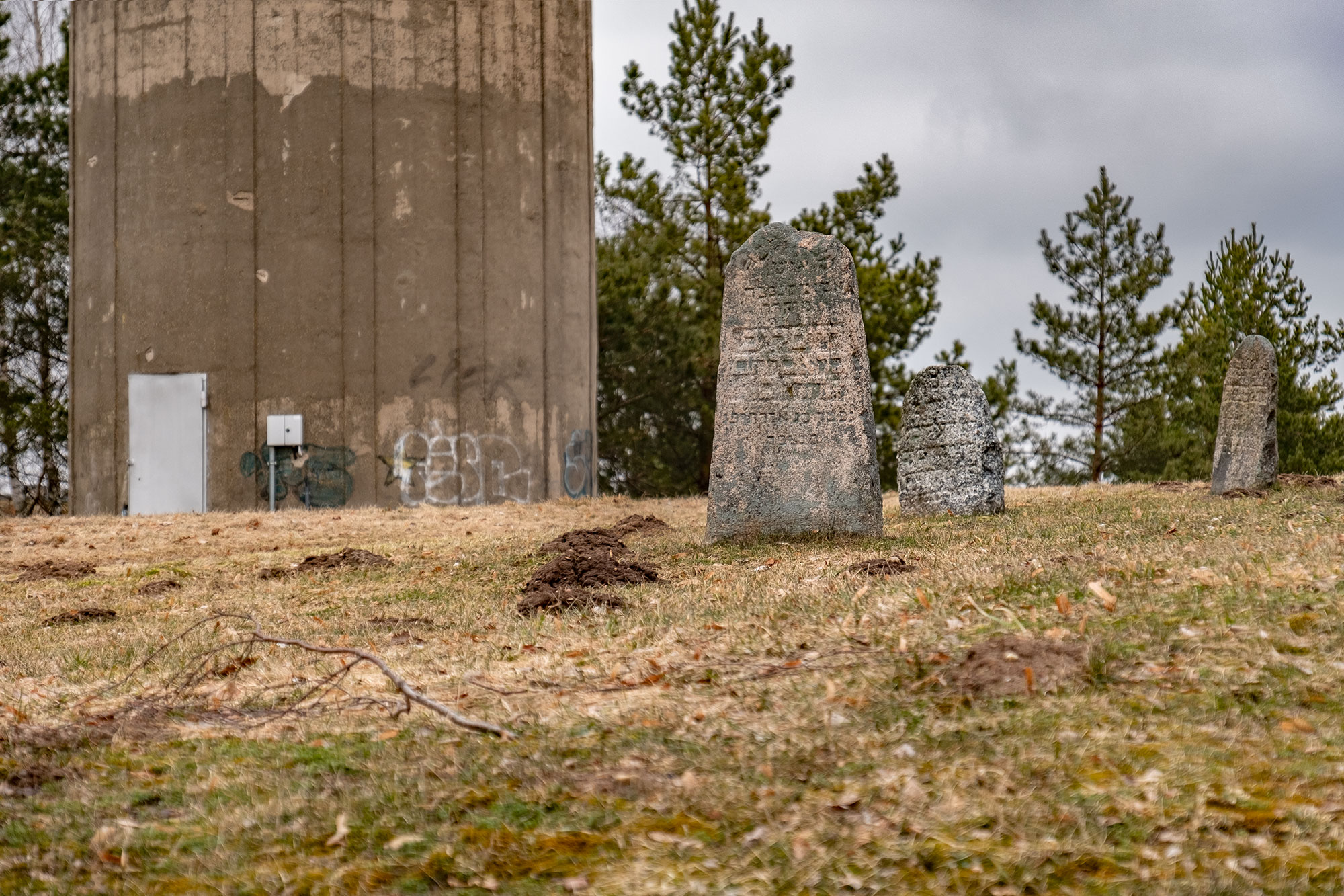 Kupiškis, Jewish cemetery