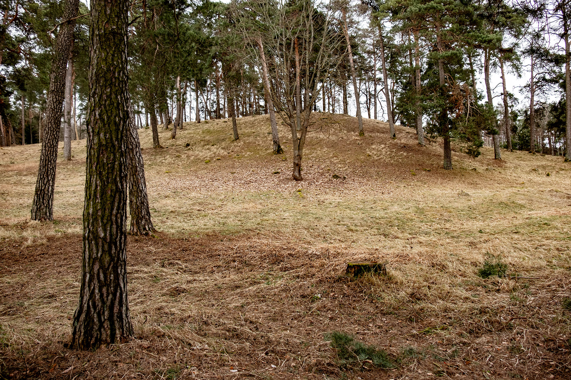 Anykščiai, Jewish cemetery