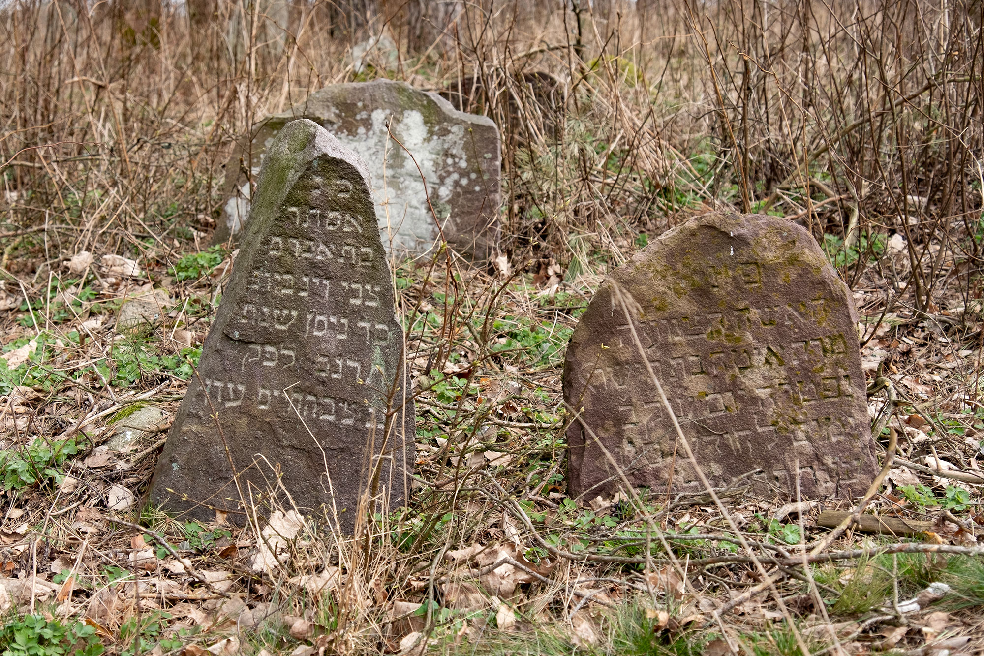 Varėna - Jewish cemetery
