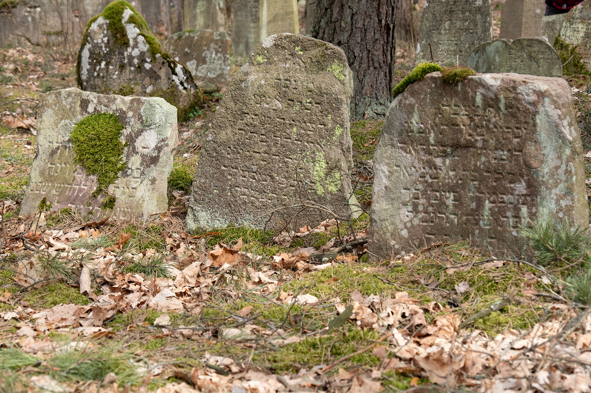 Merkinė - Jewish cemetery