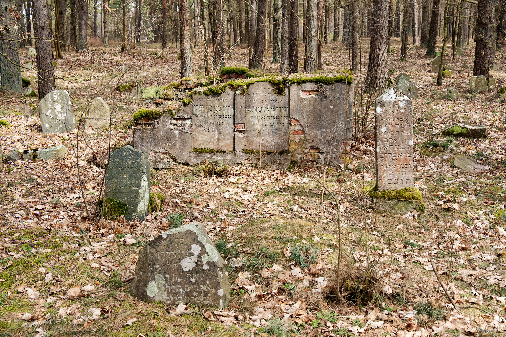Merkinė - Jewish cemetery