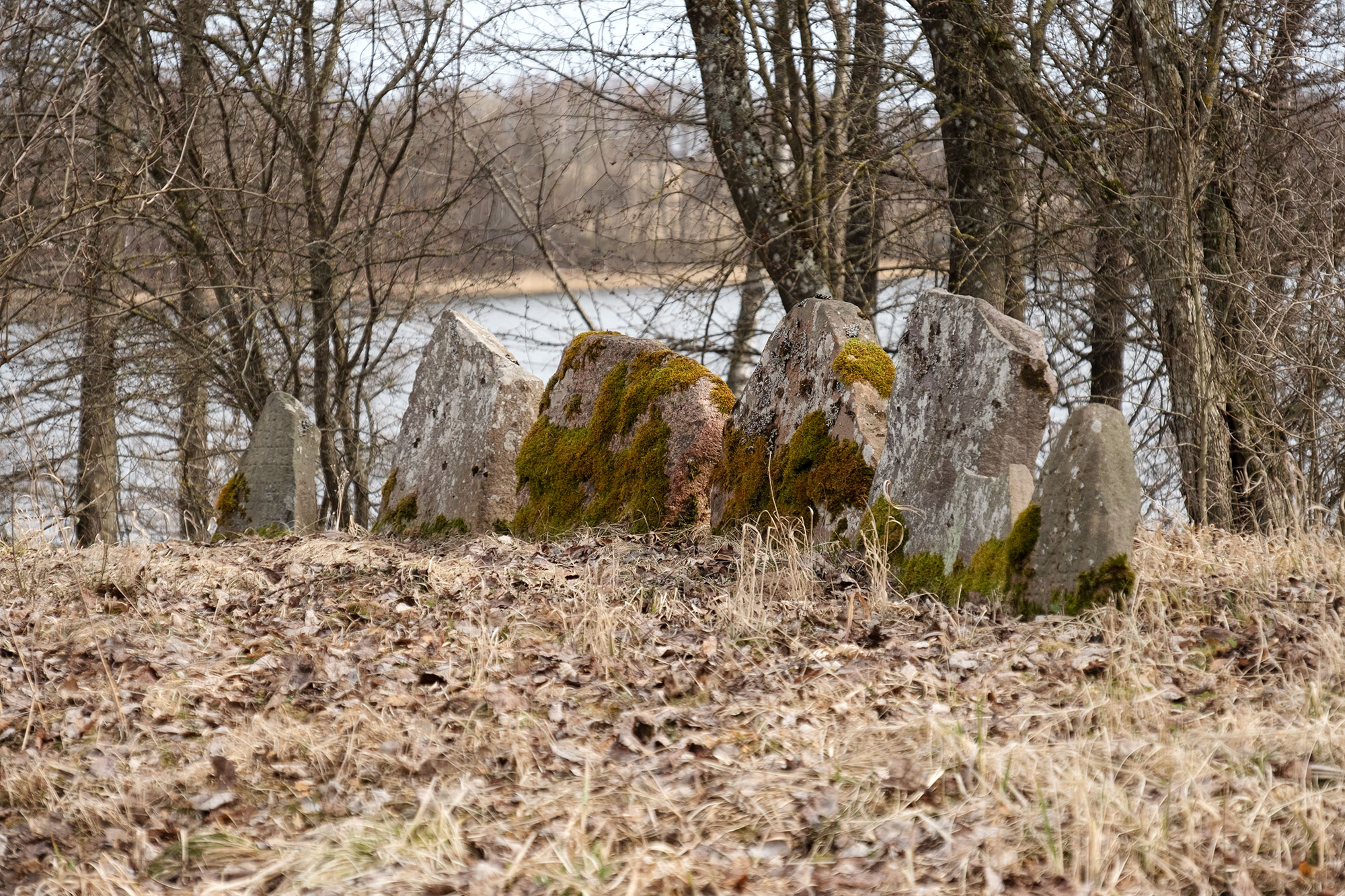 Daugai - Jewish cemetery