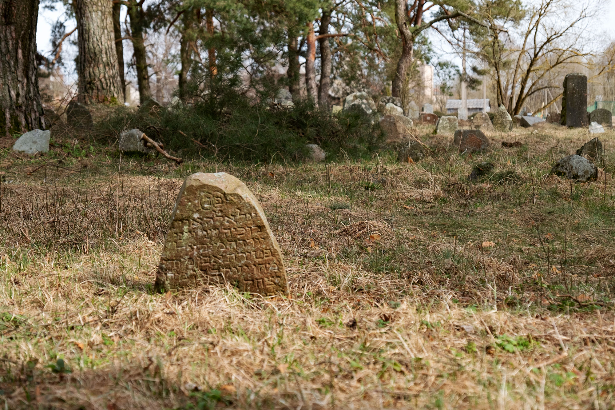 Butrimonys - Jewish cemetery