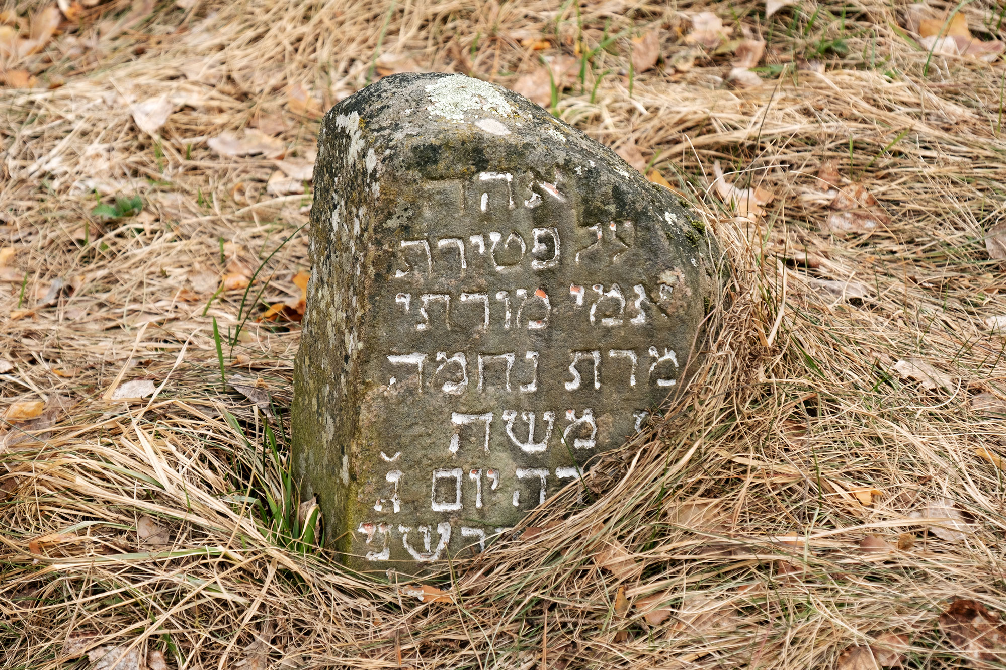 Butrimonys - Jewish cemetery