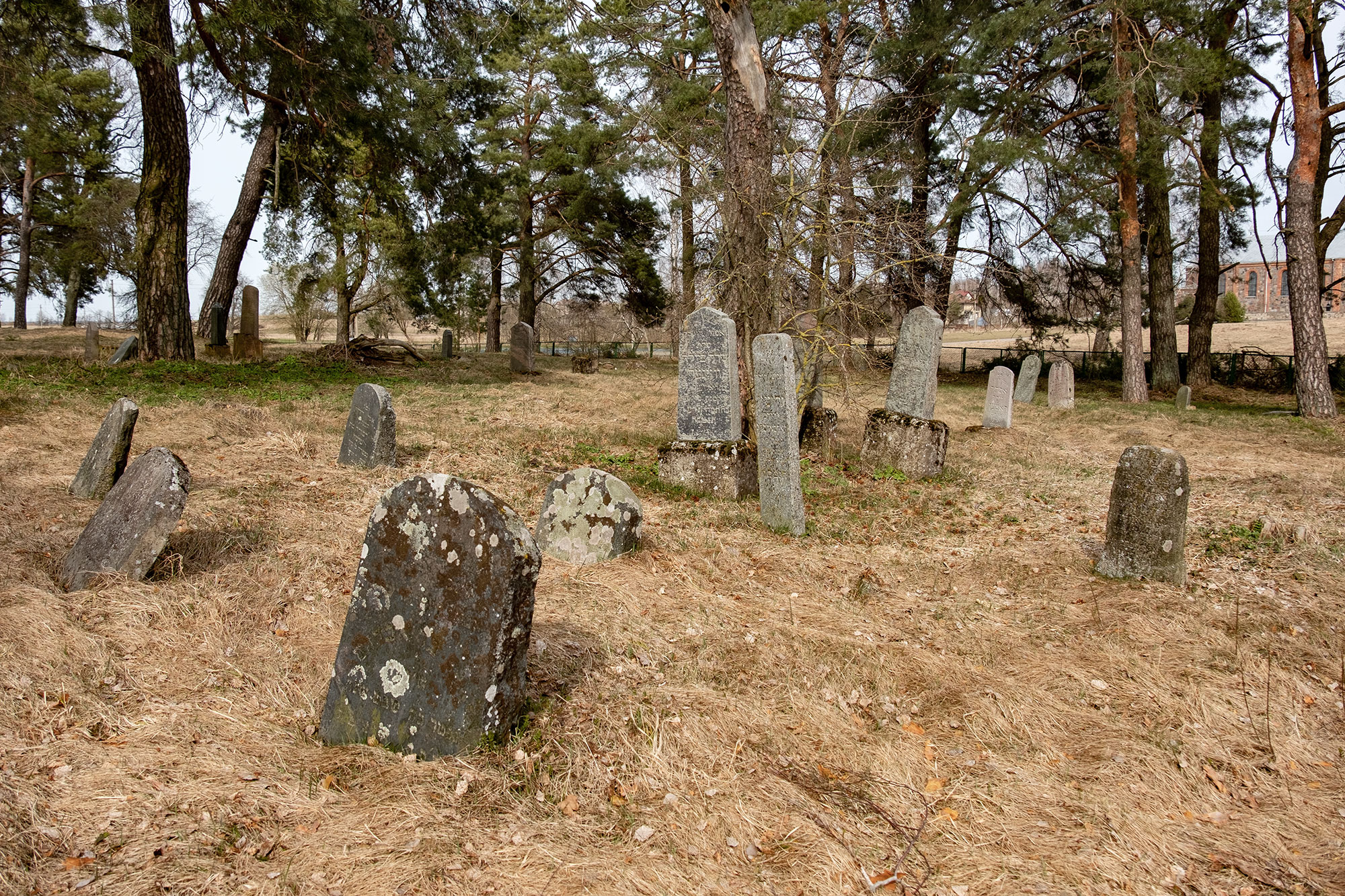 Butrimonys - Jewish cemetery
