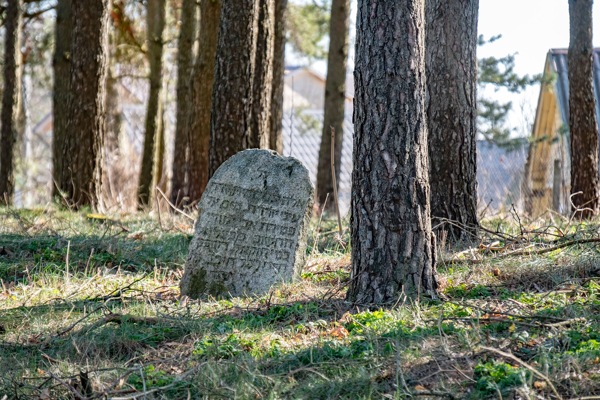 Veisiejai - Jewish cemetery