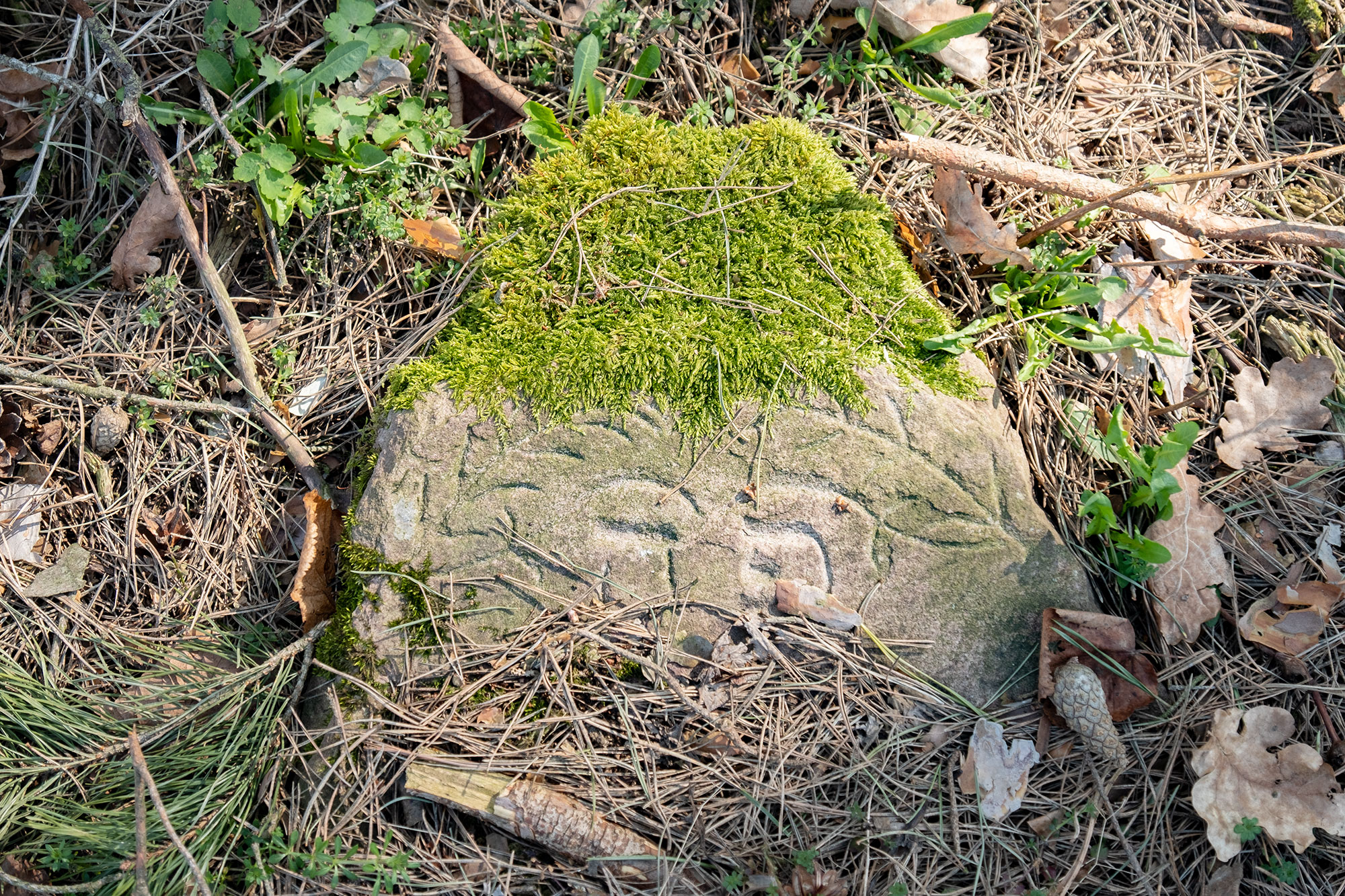Lazdijai - Jewish cemetery