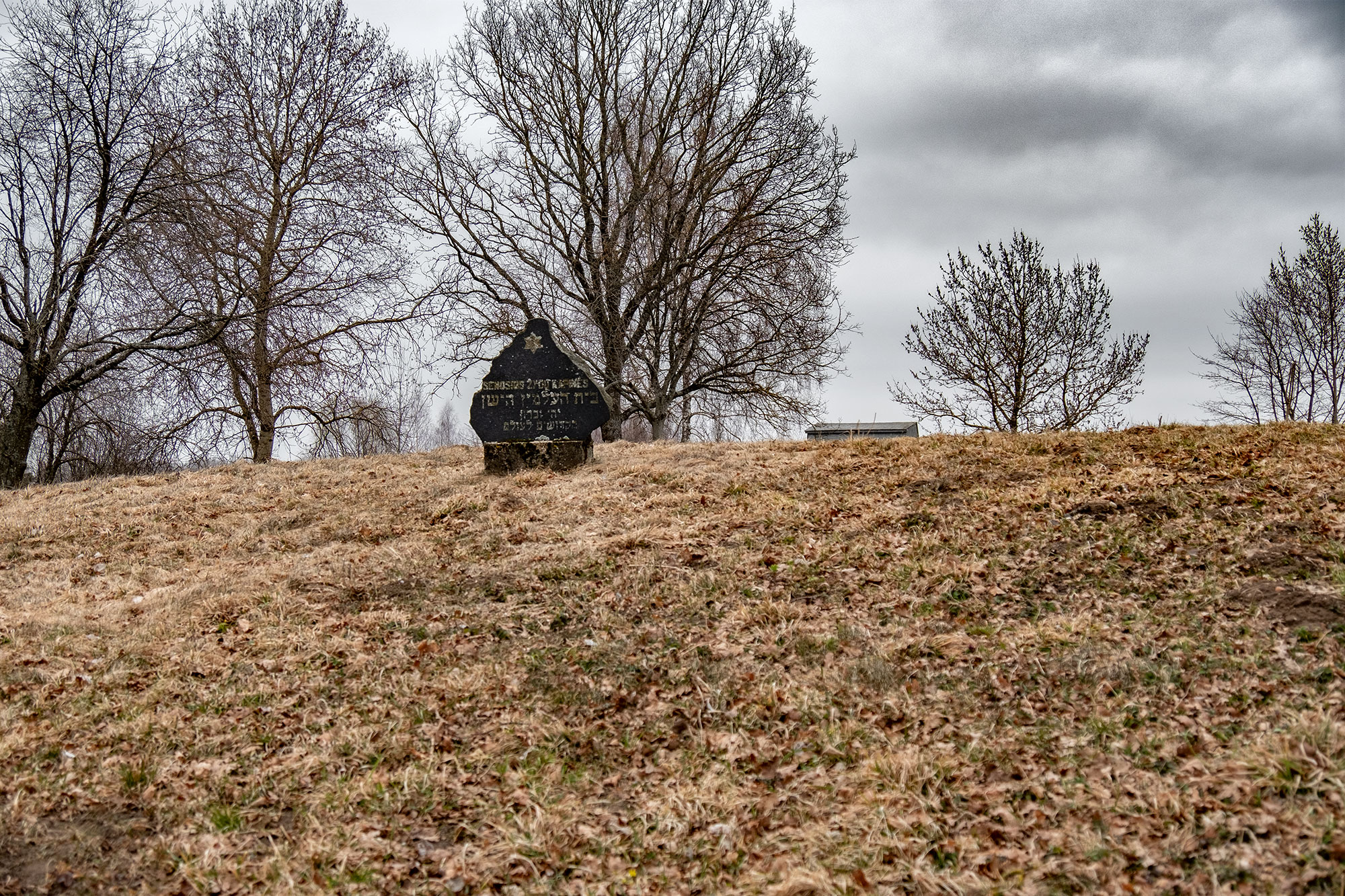 Skaudvilė - Jewish cemetery