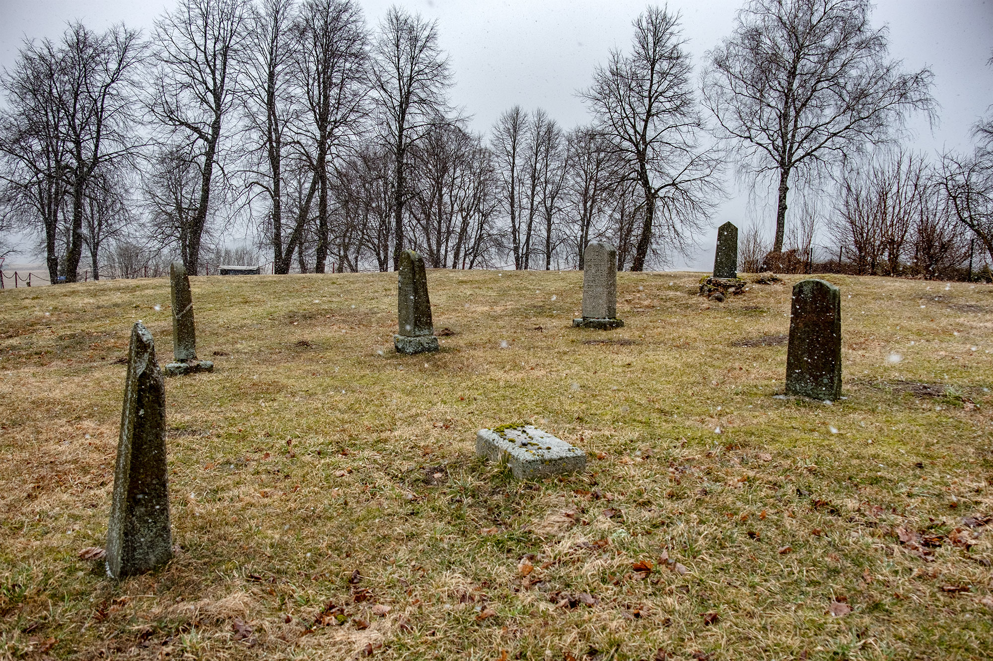 Kaltinėnai - Jewish cemetery