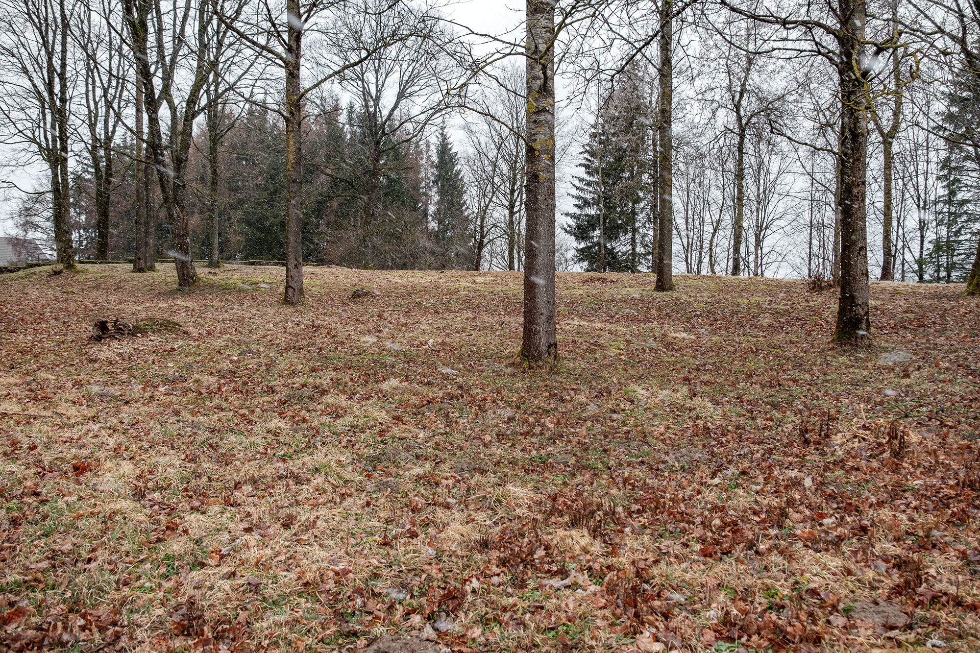 Laukuva - Jewish cemetery