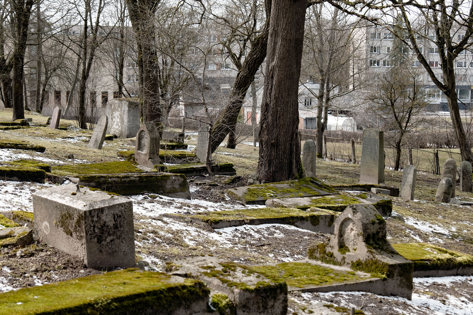 Telšiai - Jewish cemetery