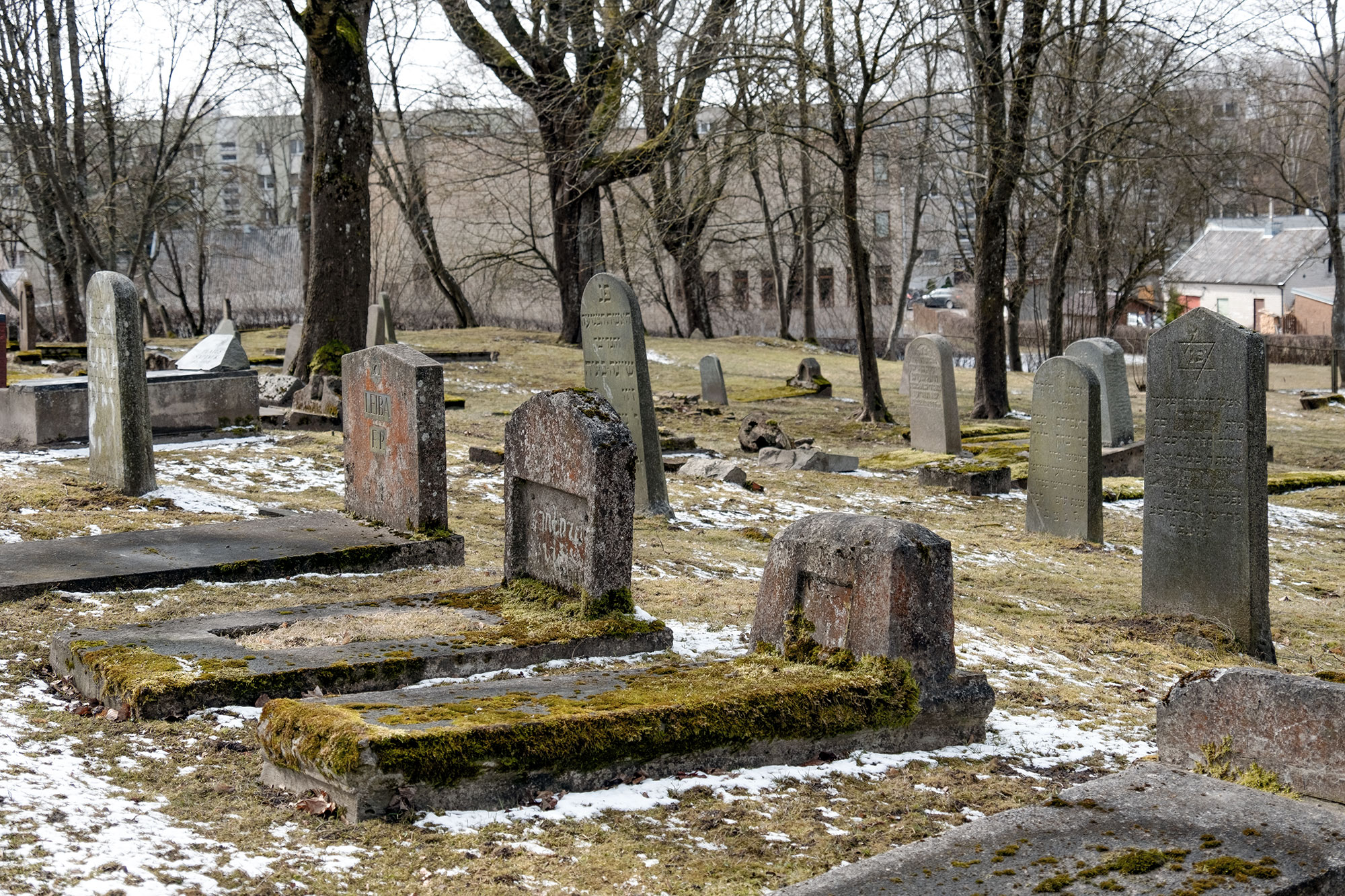Telšiai - Jewish cemetery