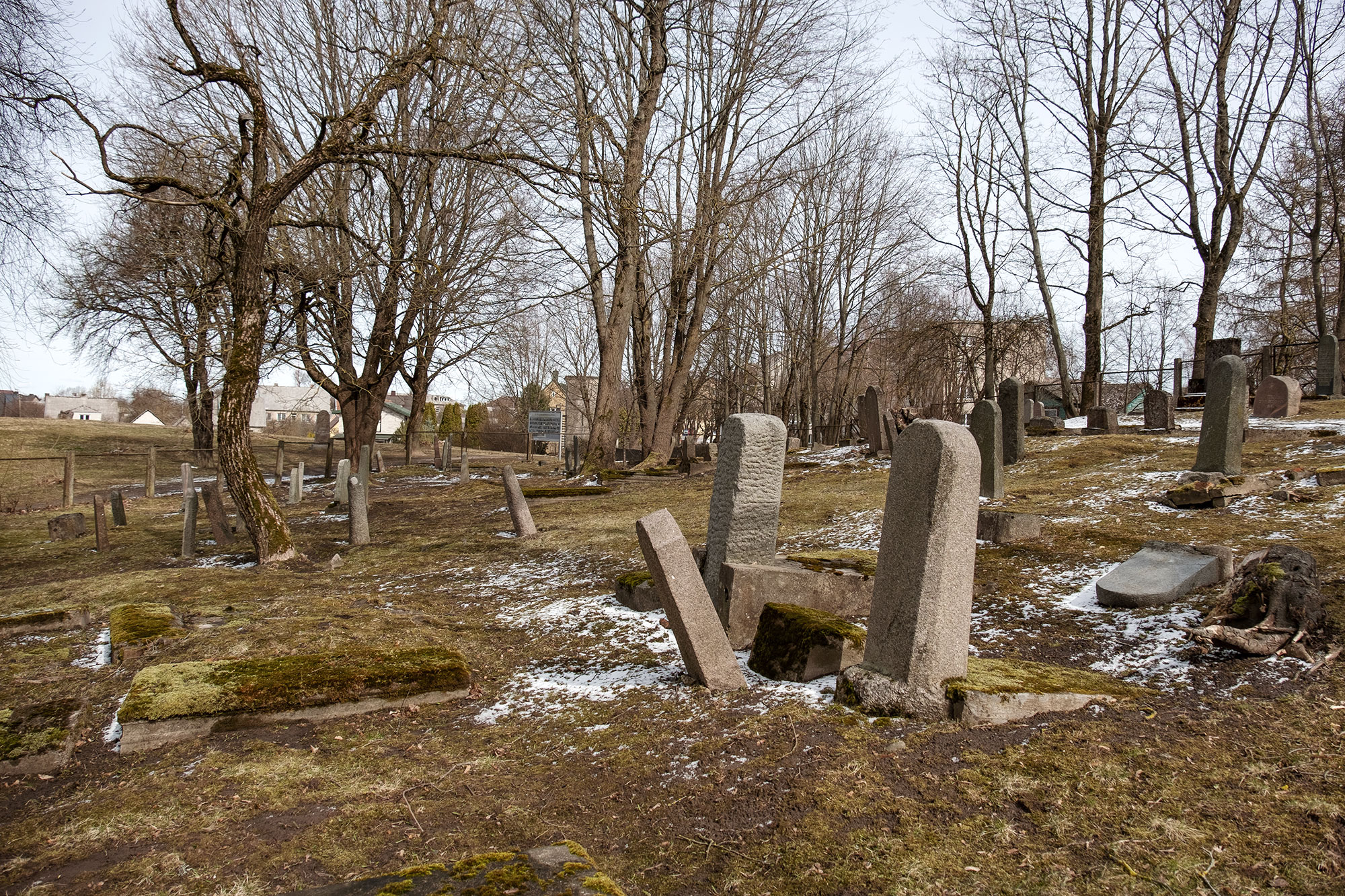 Telšiai - Jewish cemetery