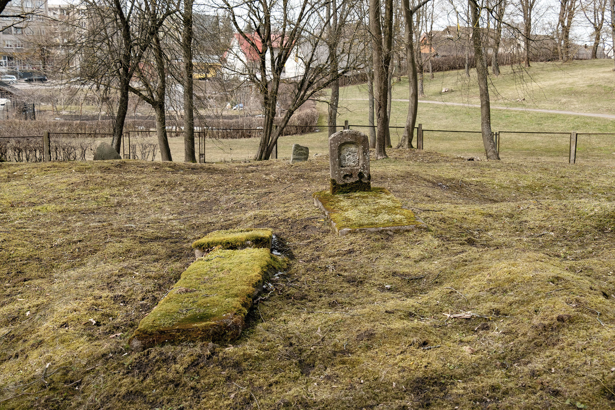 Telšiai - Jewish cemetery