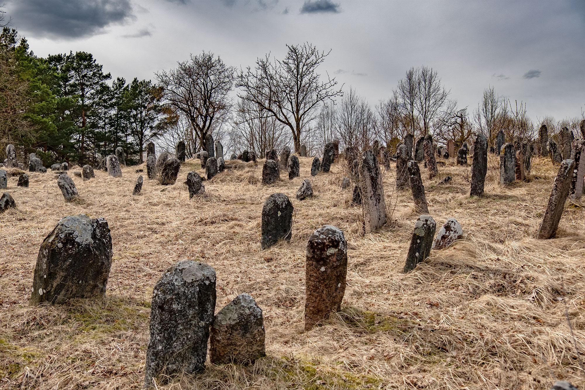 Žagarė - New Jewish Cemetery