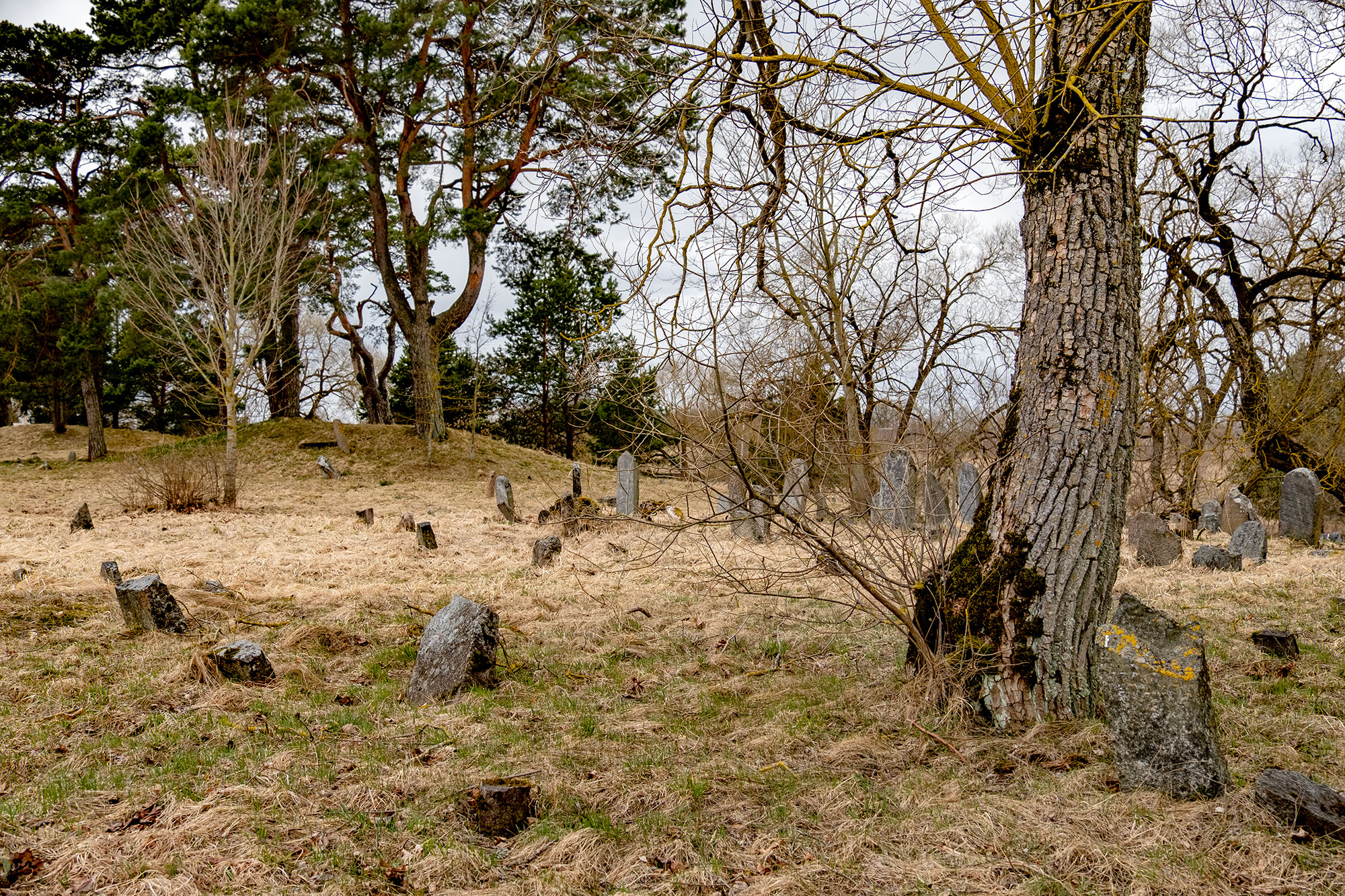 Žagarė - Old Jewish Cemetery