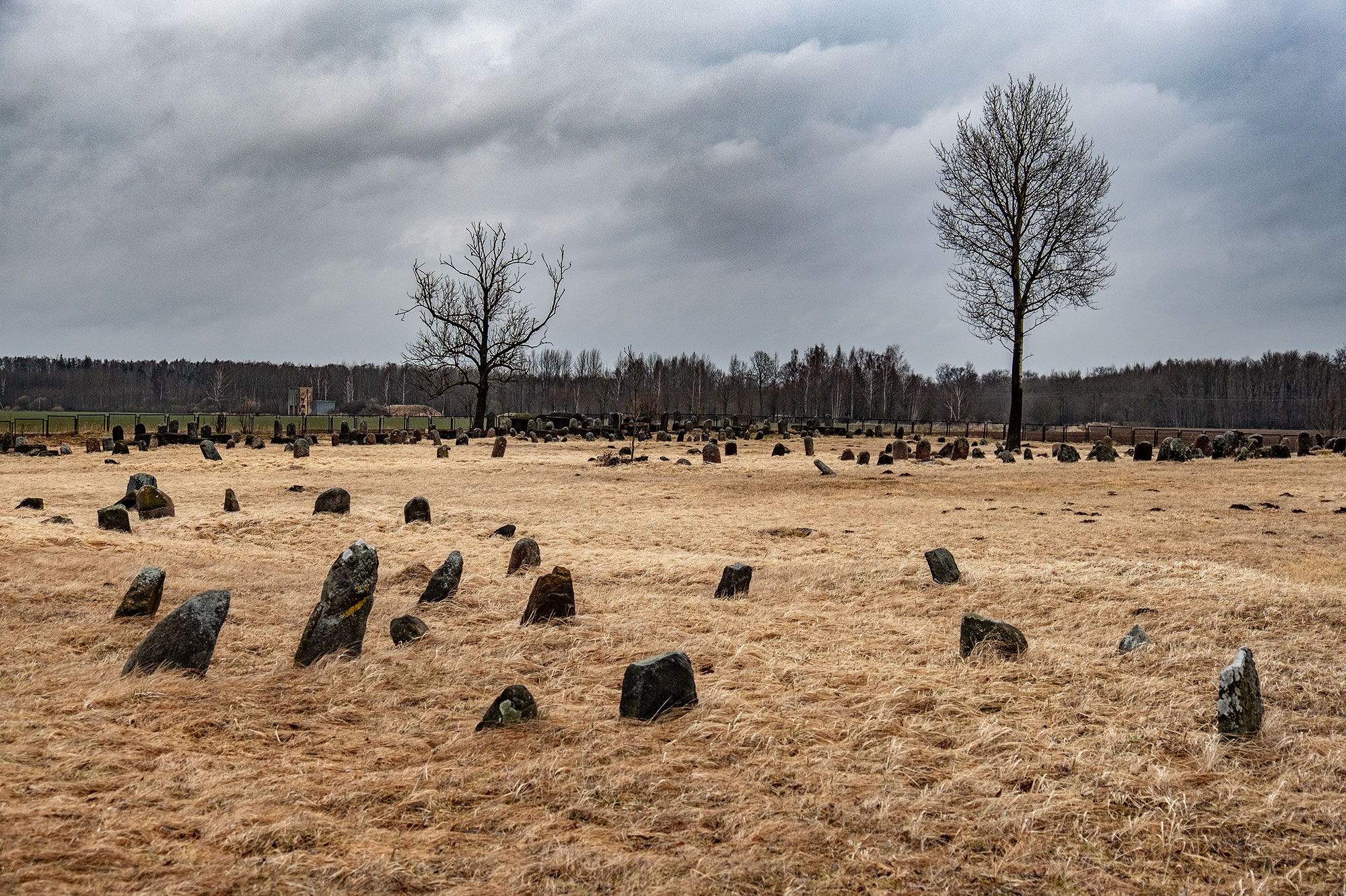 Joniškis - Jewish cemetery