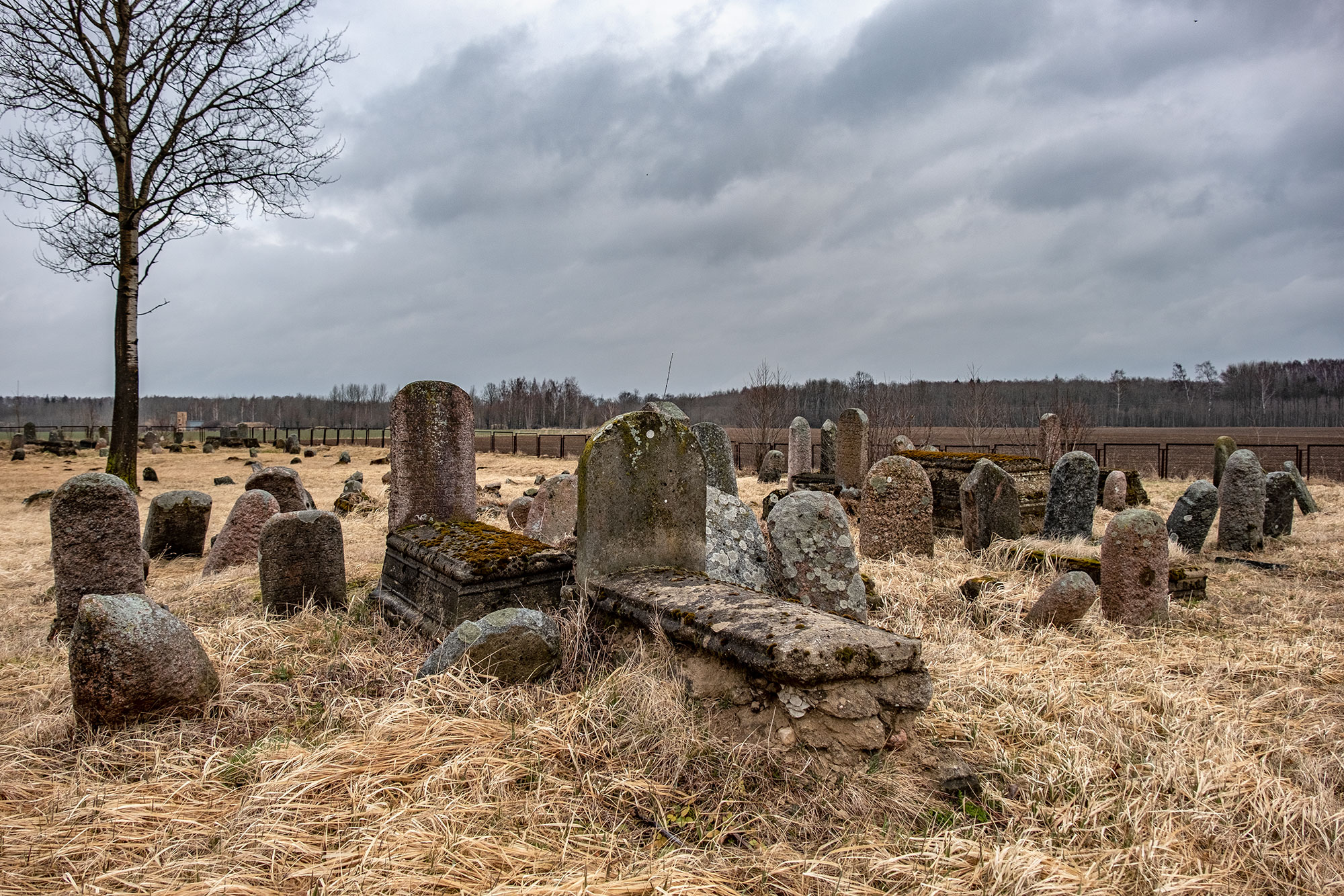 Joniškis - Jewish cemetery
