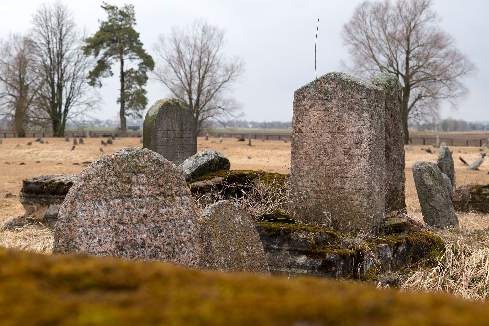 Joniškis - Jewish cemetery