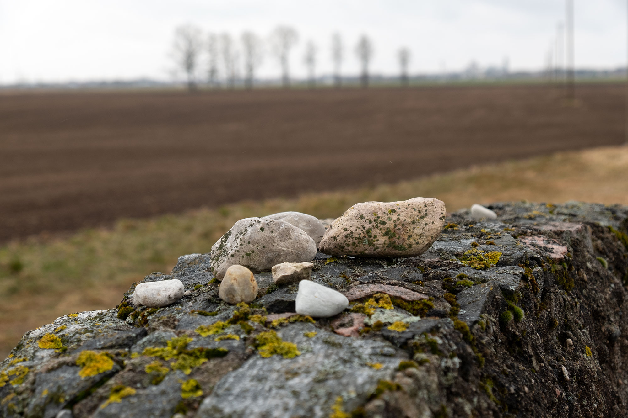 Joniškis - Jewish cemetery