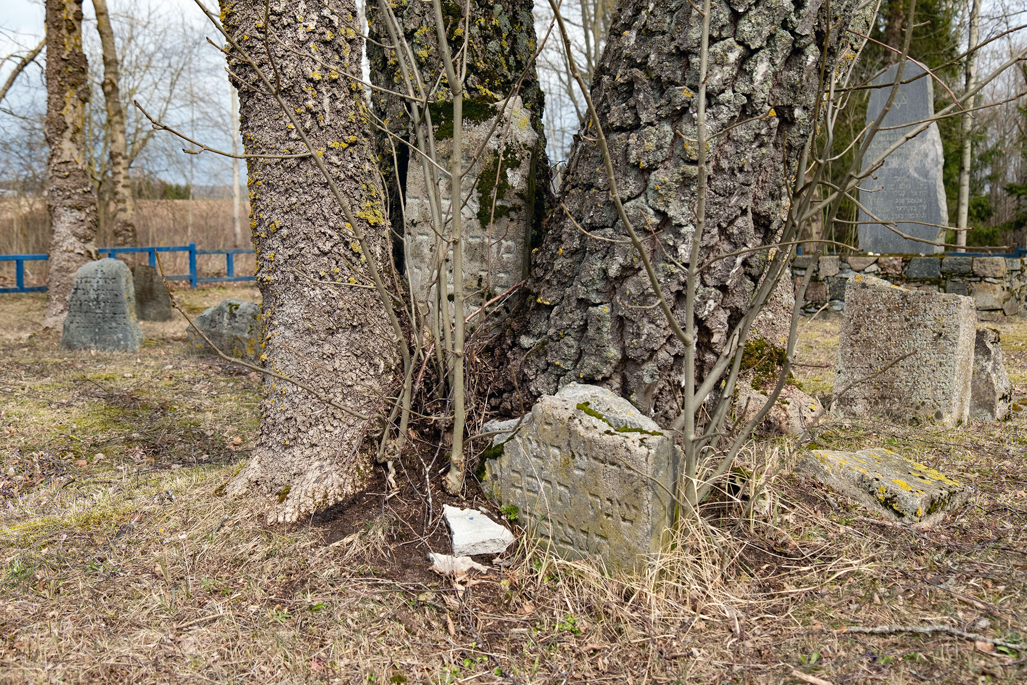 Pakruojis - Jewish cemetery