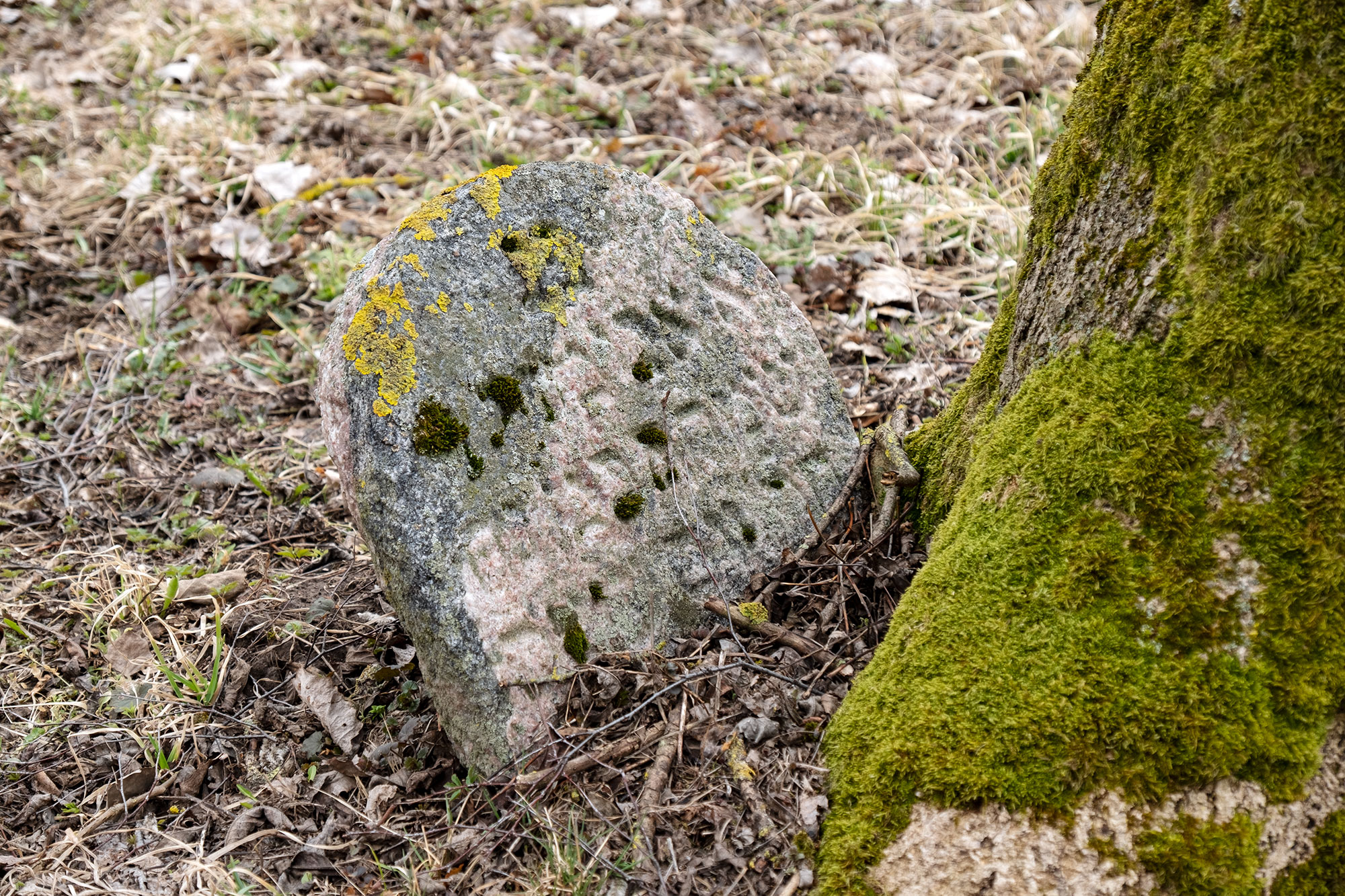 Linkuva - Jewish cemetery