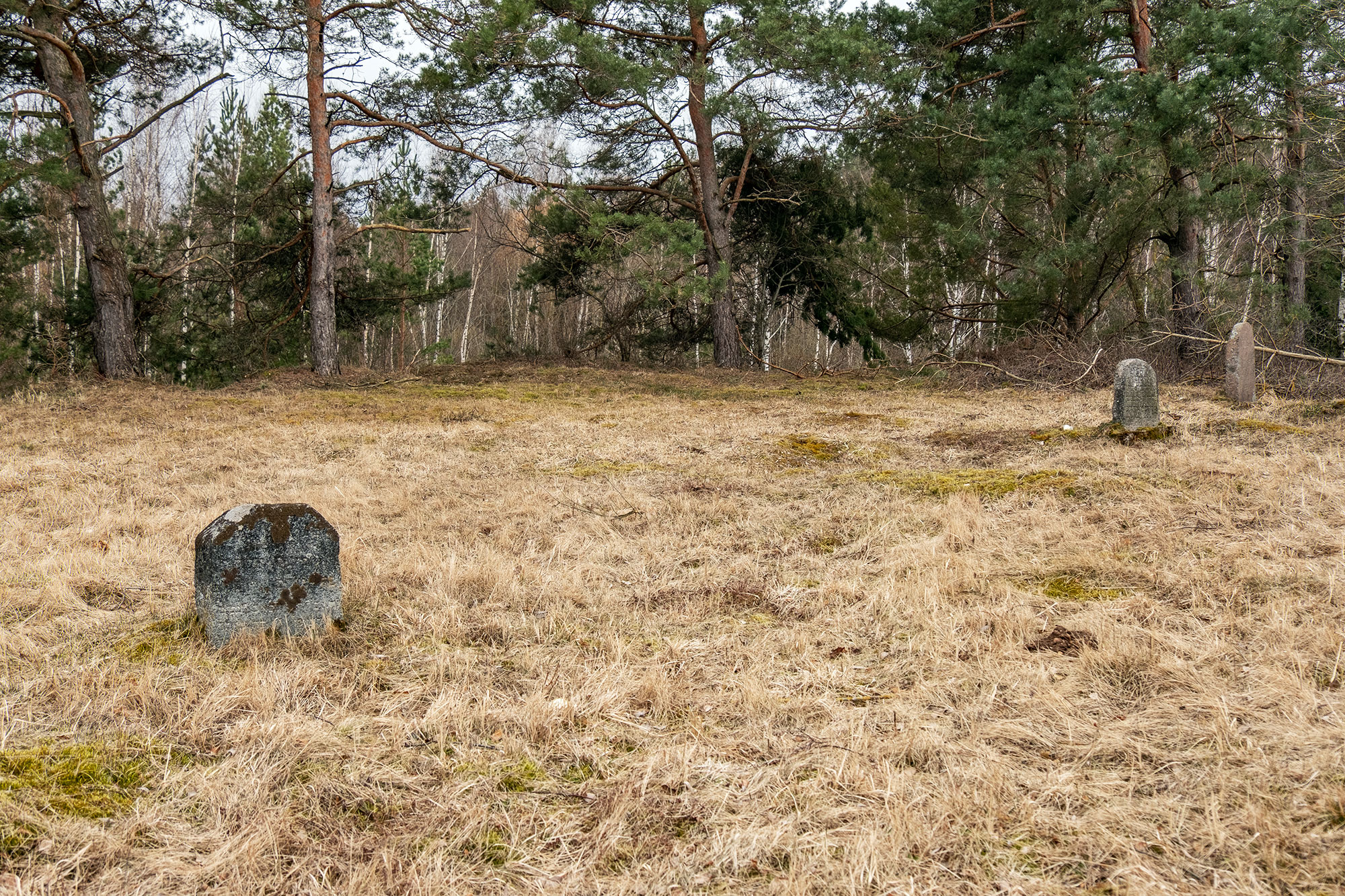 Rozalimas - Jewish cemetery