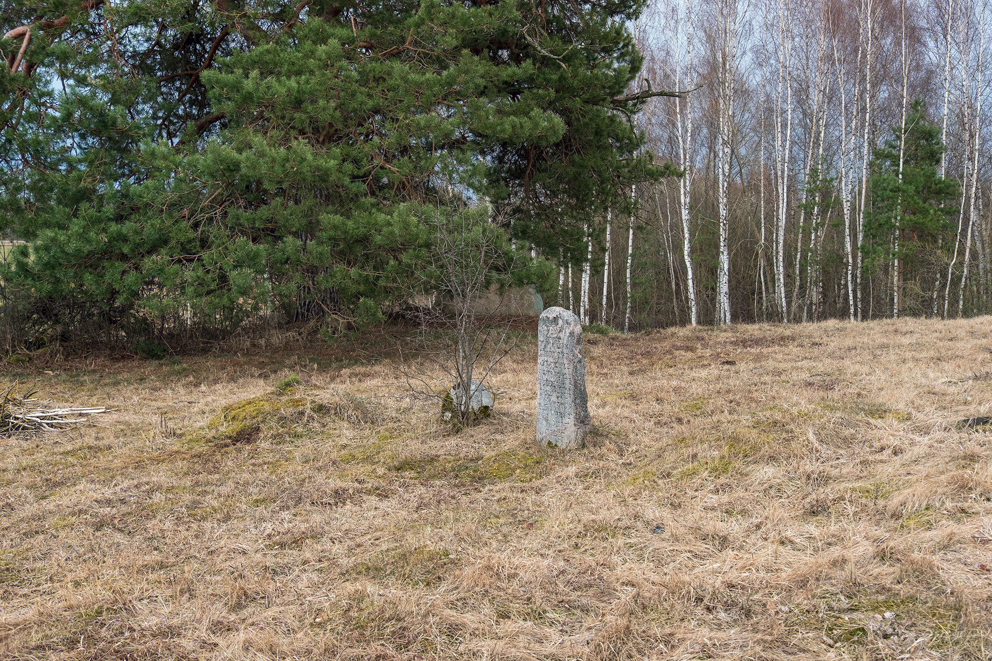 Rozalimas - Jewish cemetery