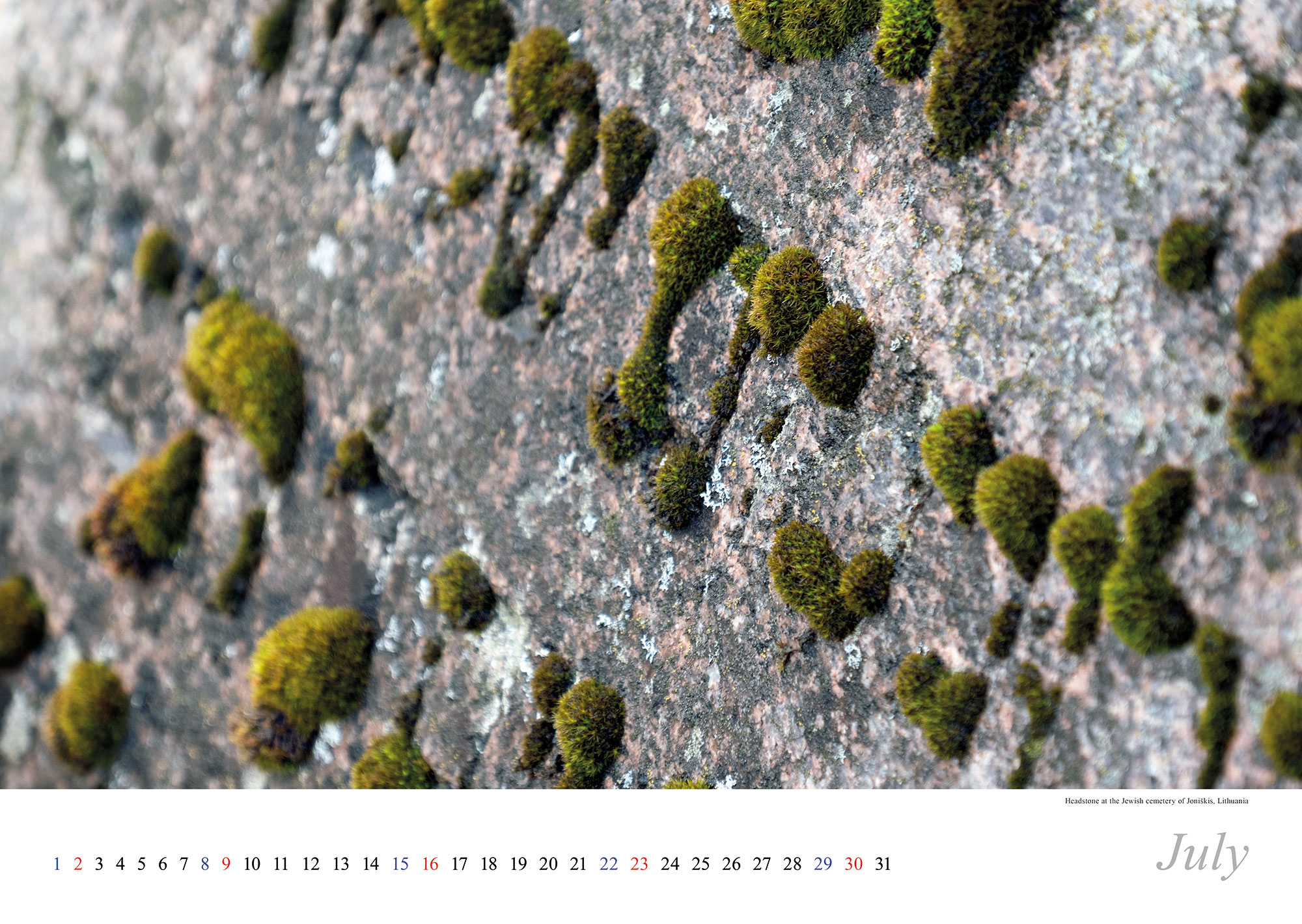 Vanished World Calendar 2023 - July