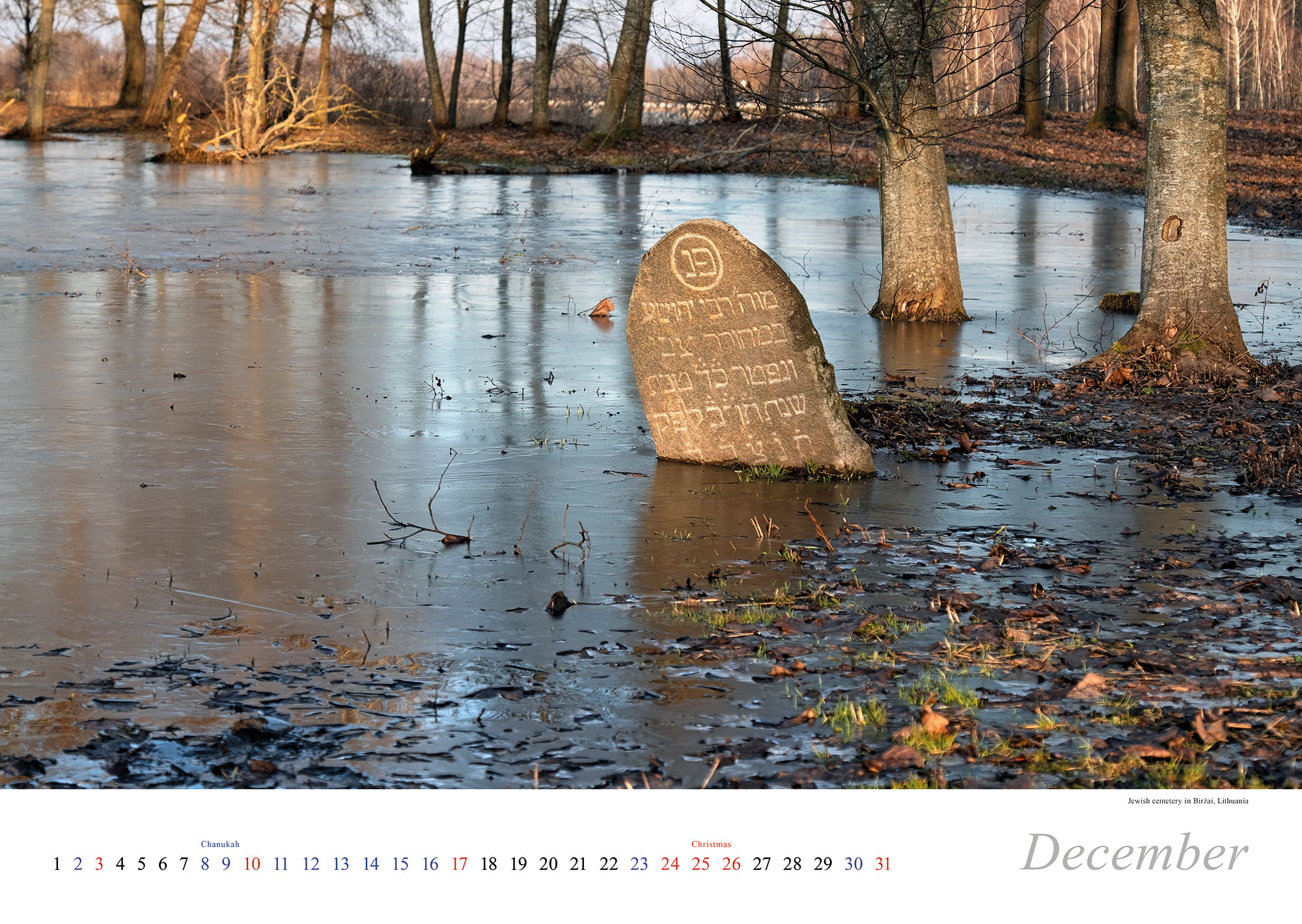 Vanished World Calendar 2023 - December