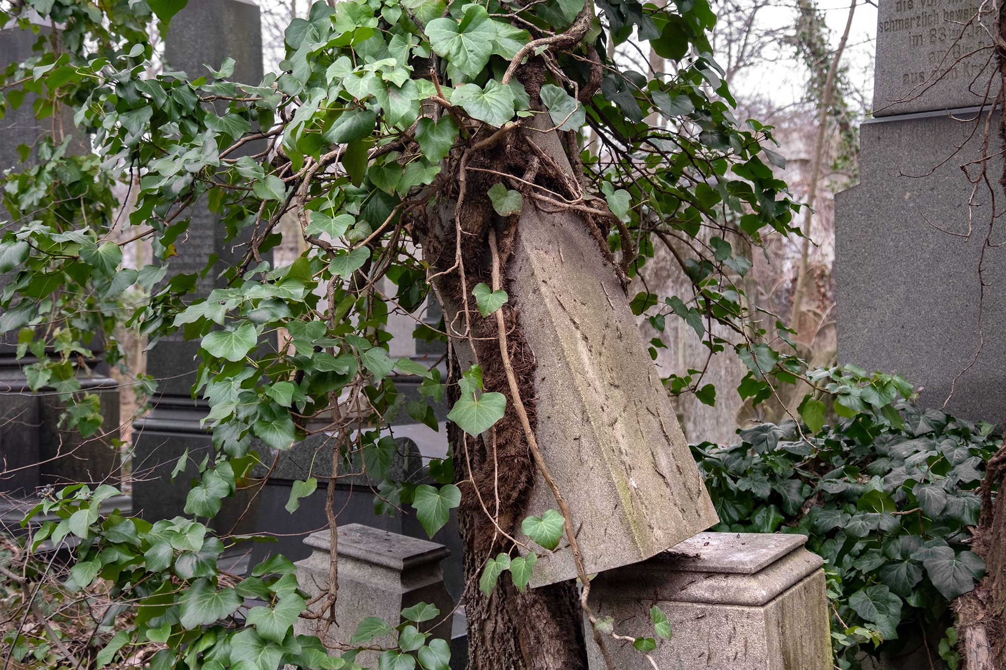 Salgótarjáni Street Jewish Cemetery
