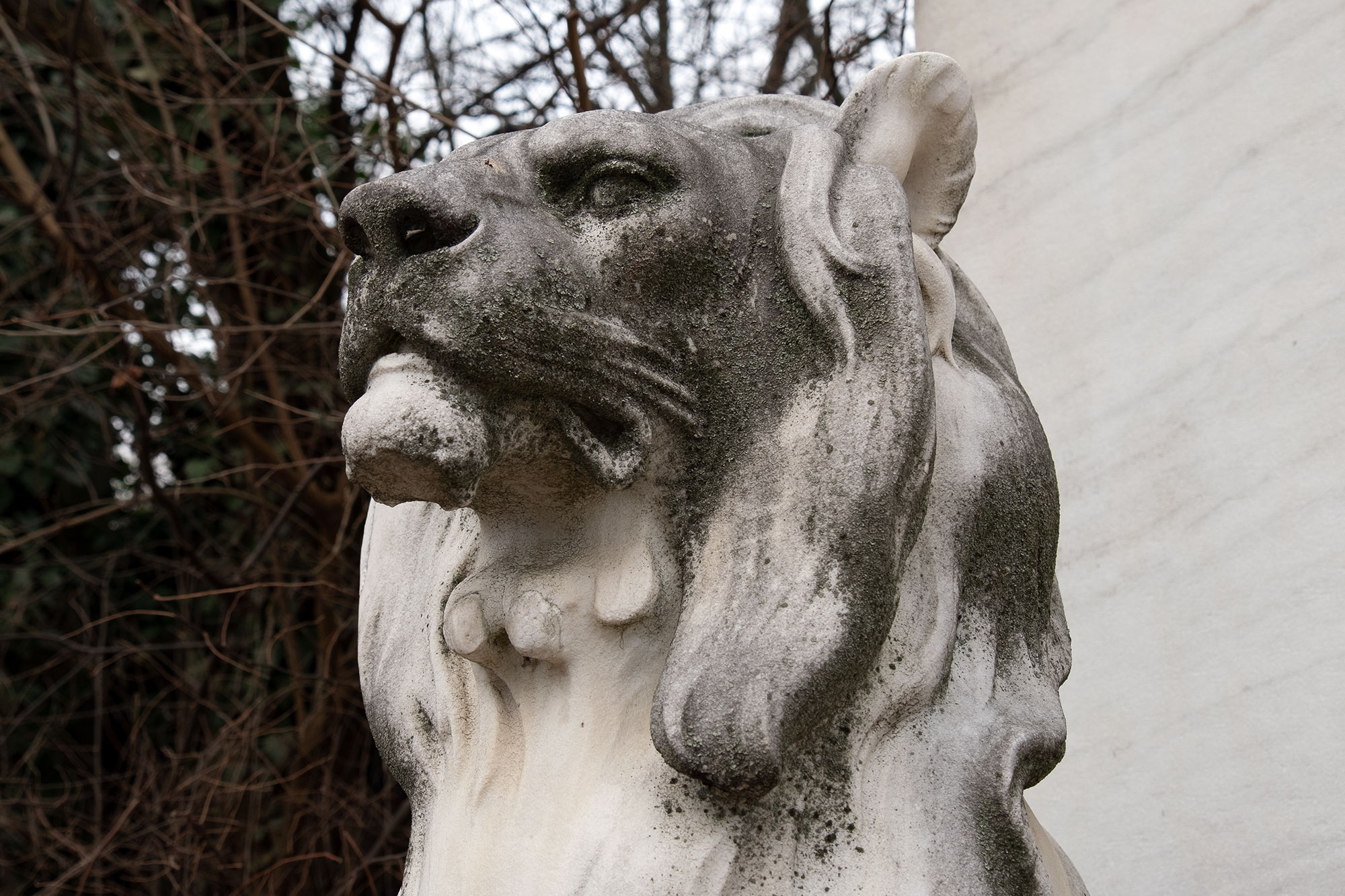 Kozma Street Jewish Cemetery