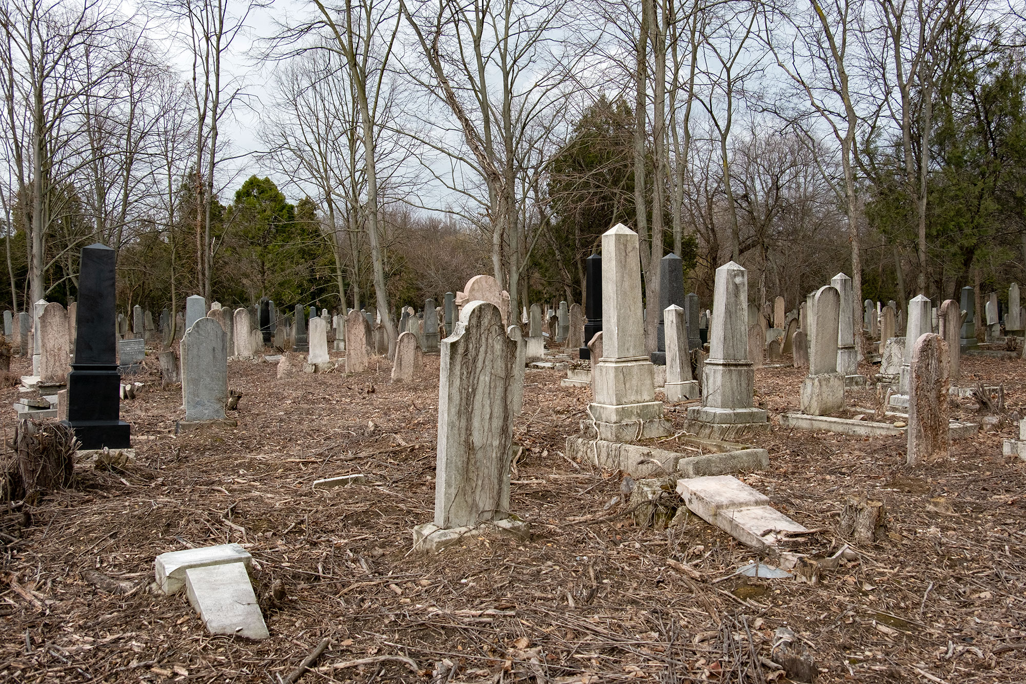 Kozma Street Jewish Cemetery